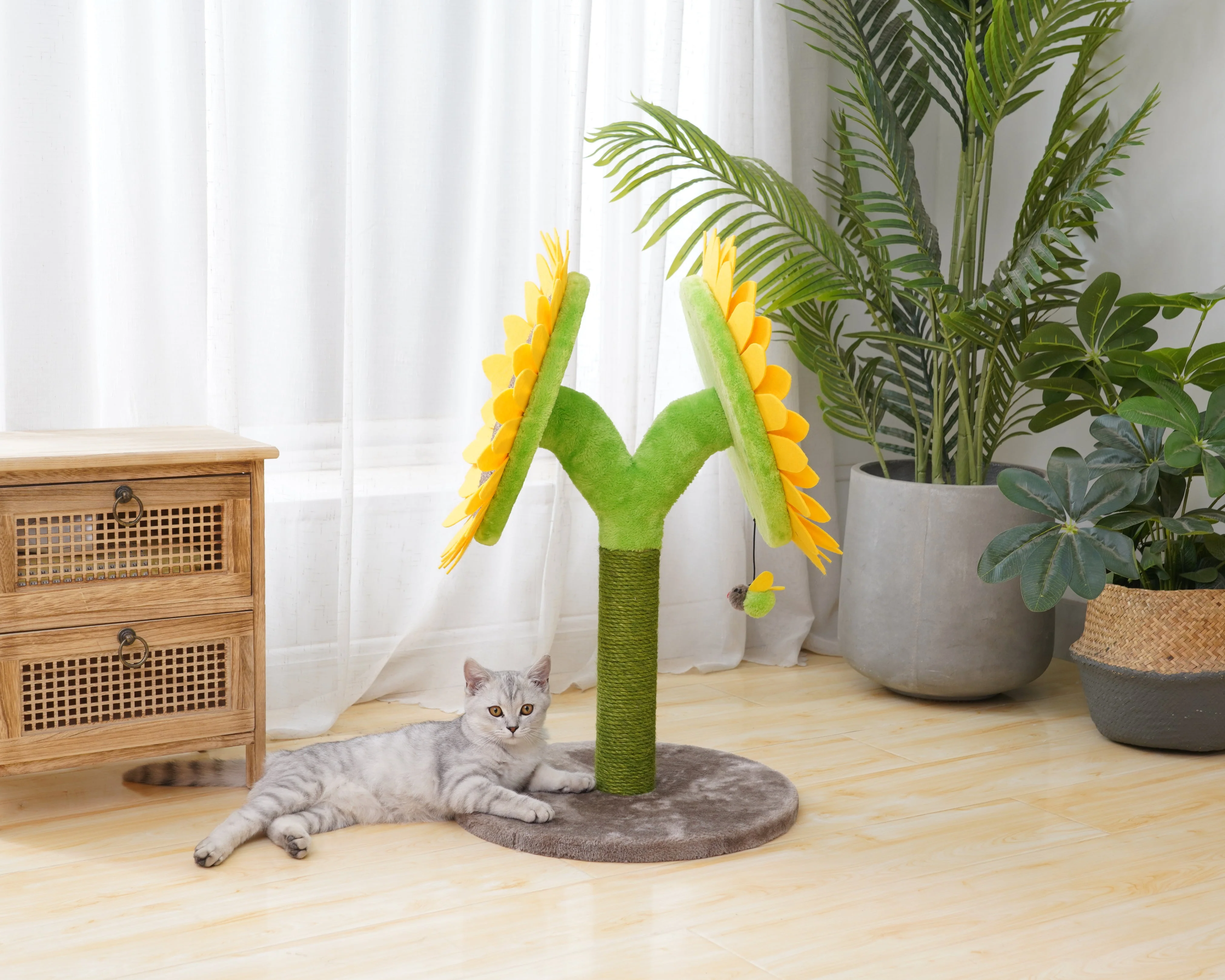 Bloom Double Sunflower - Image 3