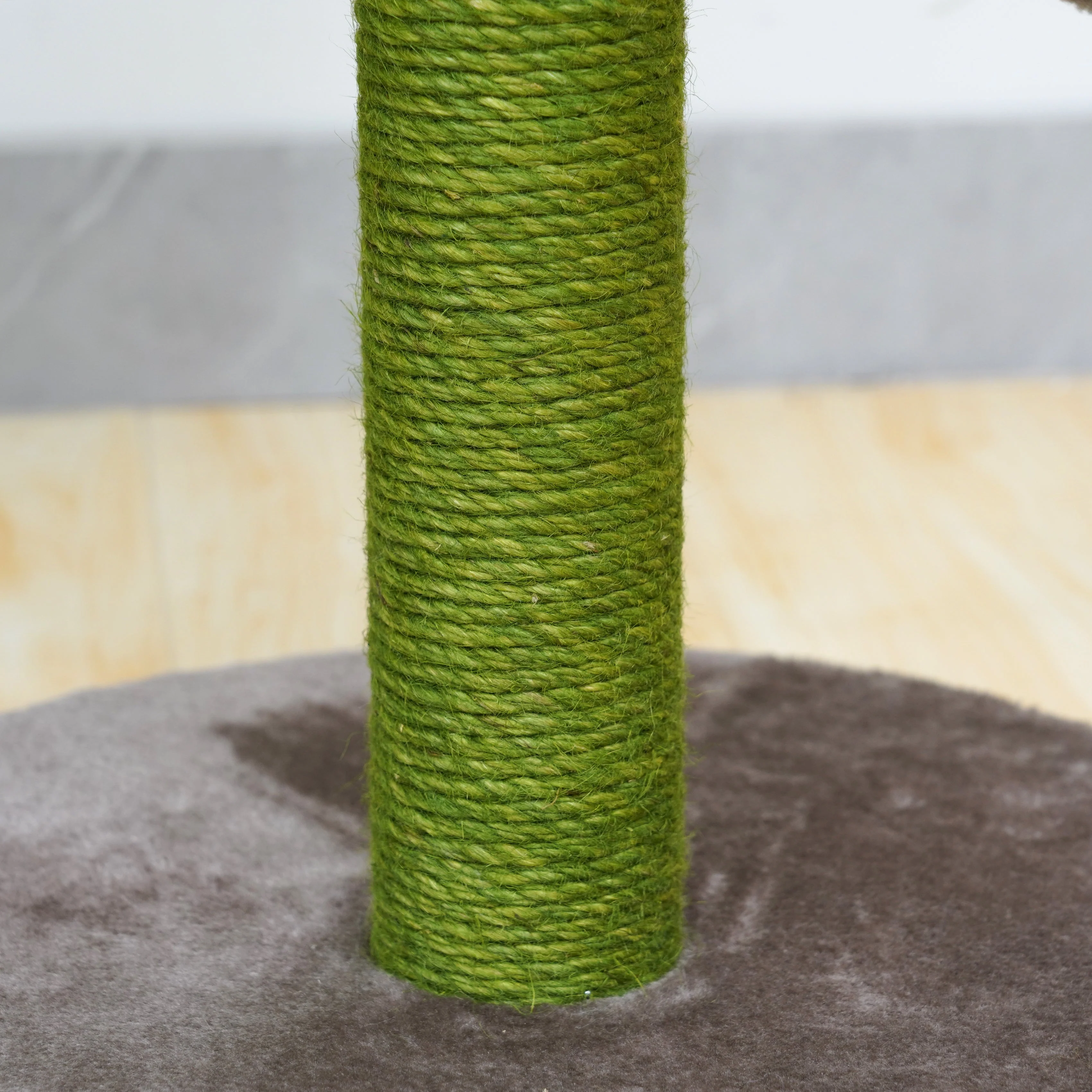 Bloom Double Sunflower - Image 9