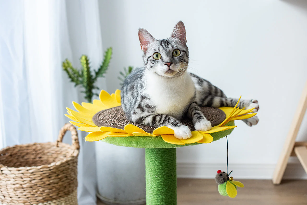 Catry Sunflower Cat Scratcher - Image 3