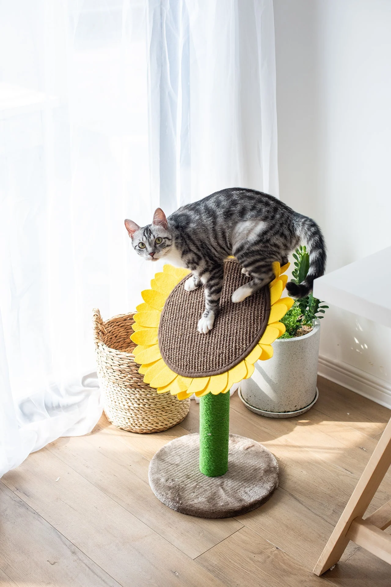 Catry Sunflower Cat Scratcher - Image 6