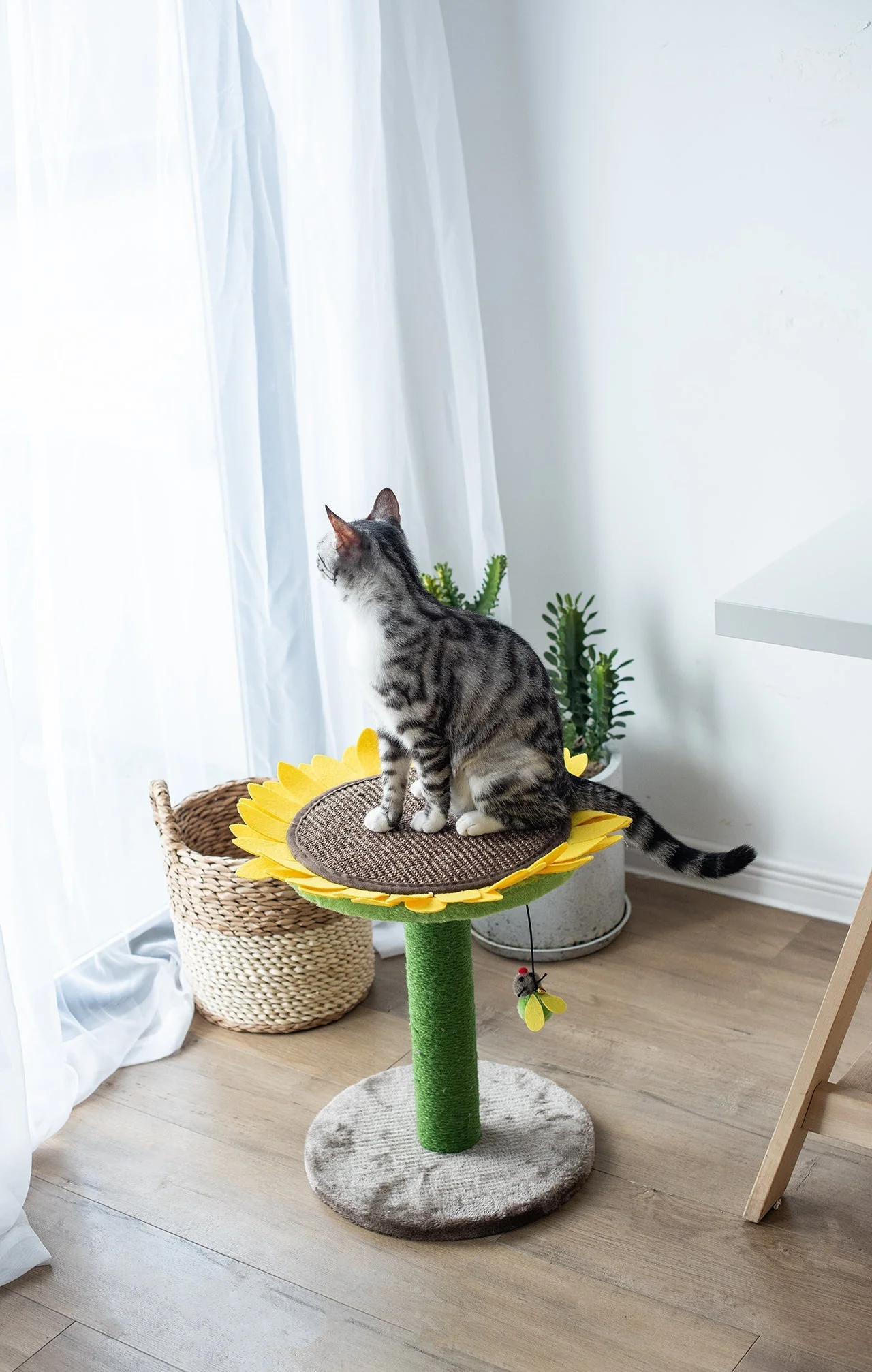 Catry Sunflower Cat Scratcher - Image 7