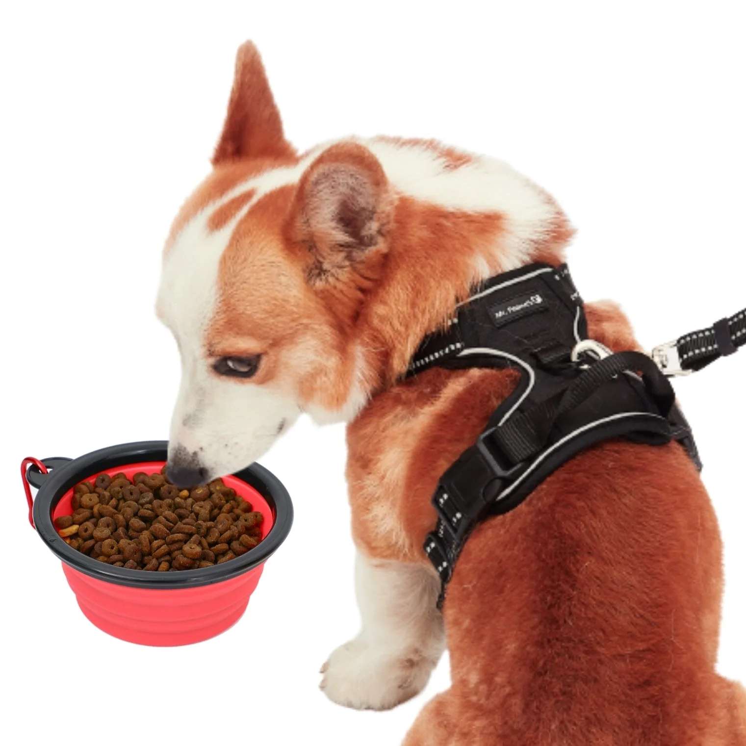 Collapsible Silicone Travel Bowls - 12oz - Image 10