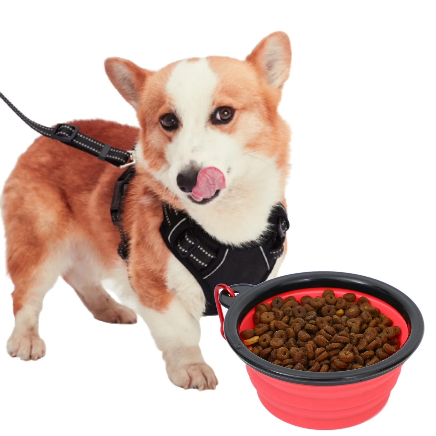 Collapsible Silicone Travel Bowls - 12oz - Image 12