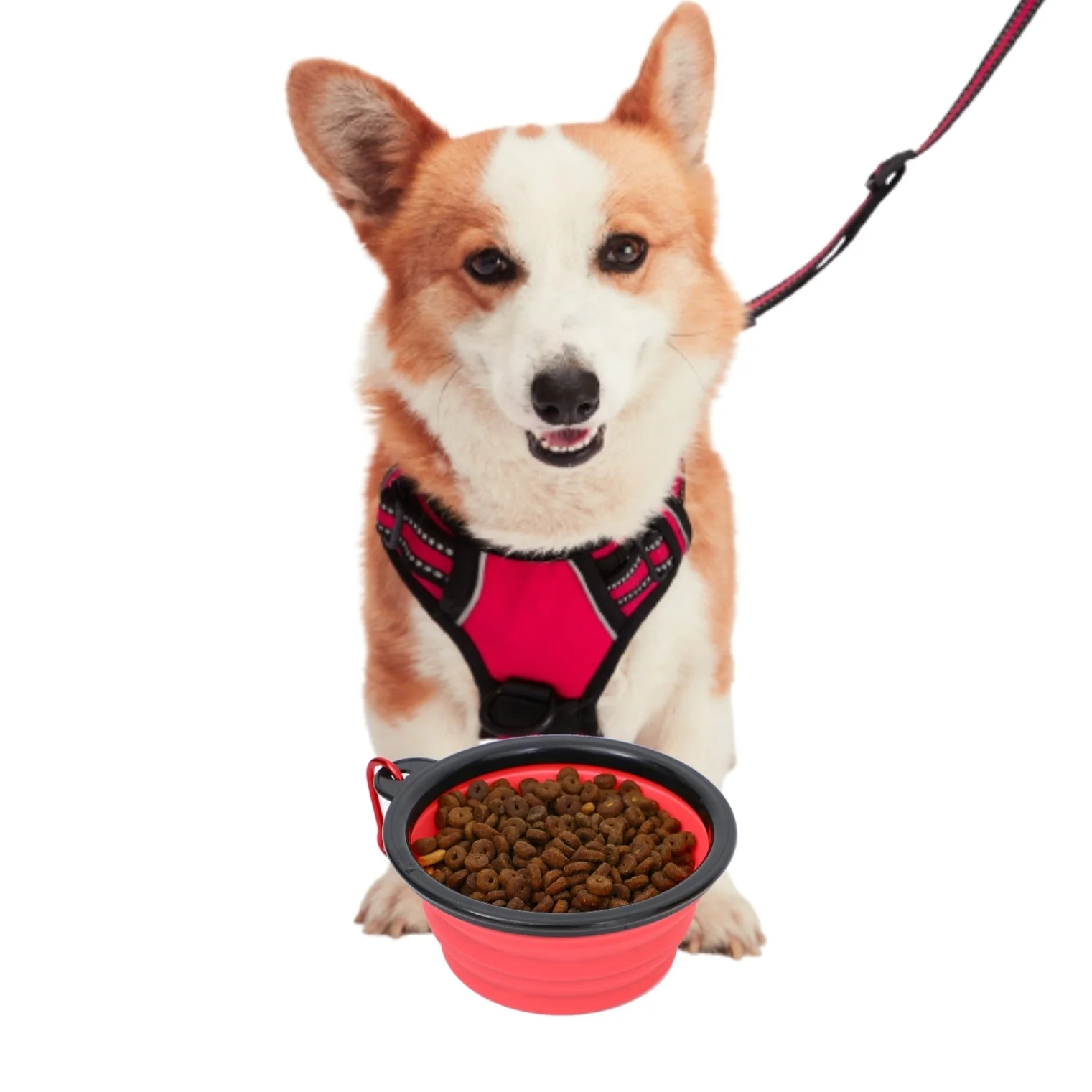 Collapsible Silicone Travel Bowls - 12oz - Image 14