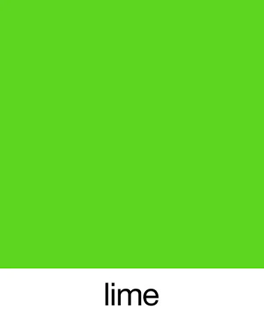 SturdiBag™ Pro 2.0 Divided - XL - Image 37