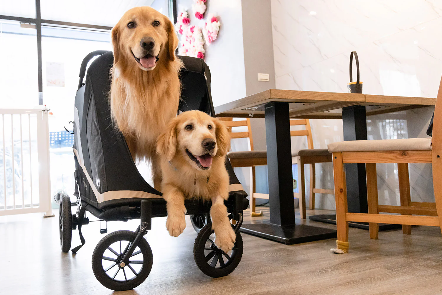 Ibiyaya Grand Cruiser Large Dog Stroller, 4-Wheel Foldable Big Dog Pram for Large Breeds, Senior & Injured Pets - PreOrder Only March 27 Shipping - Image 10