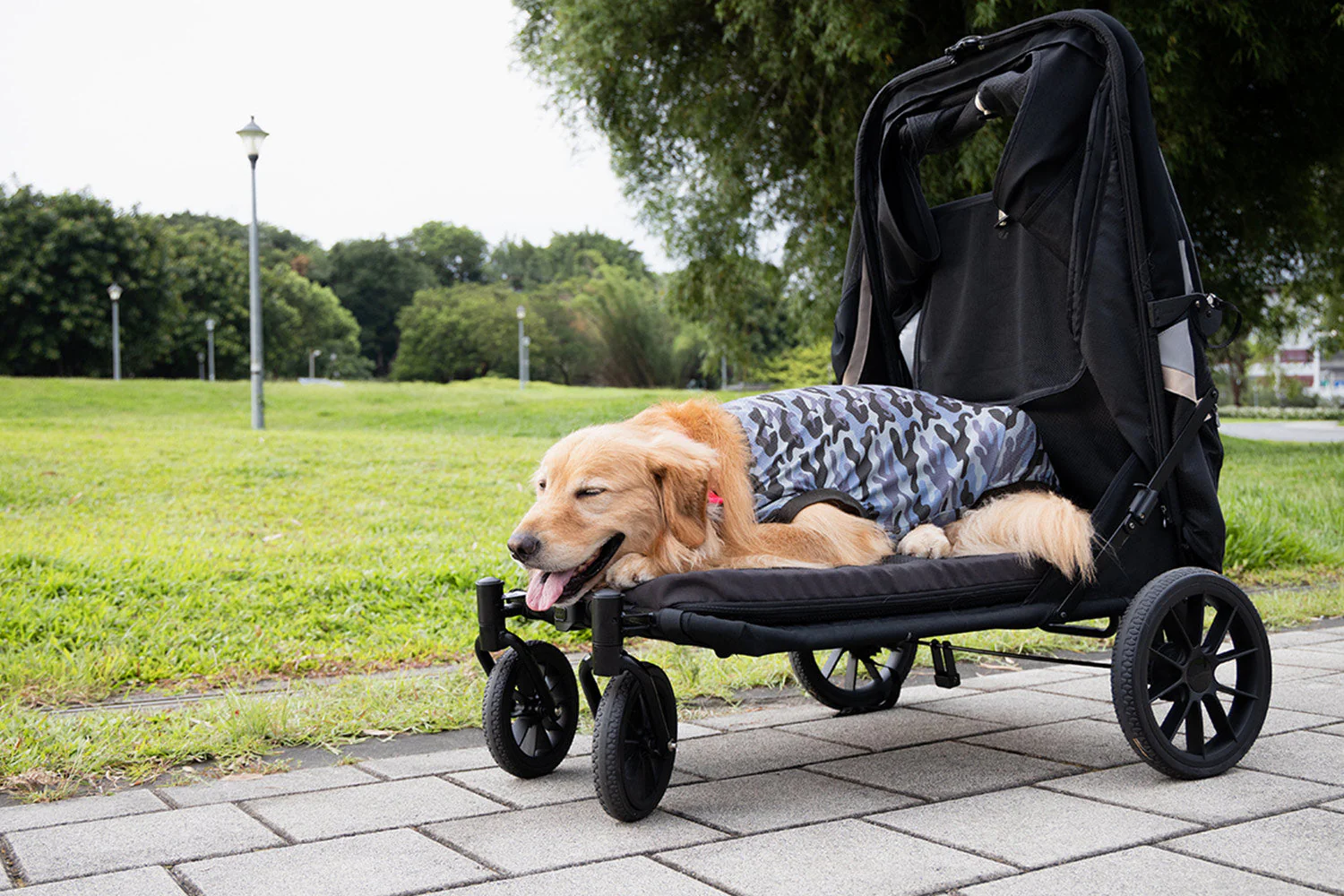 Ibiyaya Grand Cruiser Large Dog Stroller, 4-Wheel Foldable Big Dog Pram for Large Breeds, Senior & Injured Pets - PreOrder Only March 27 Shipping - Image 8