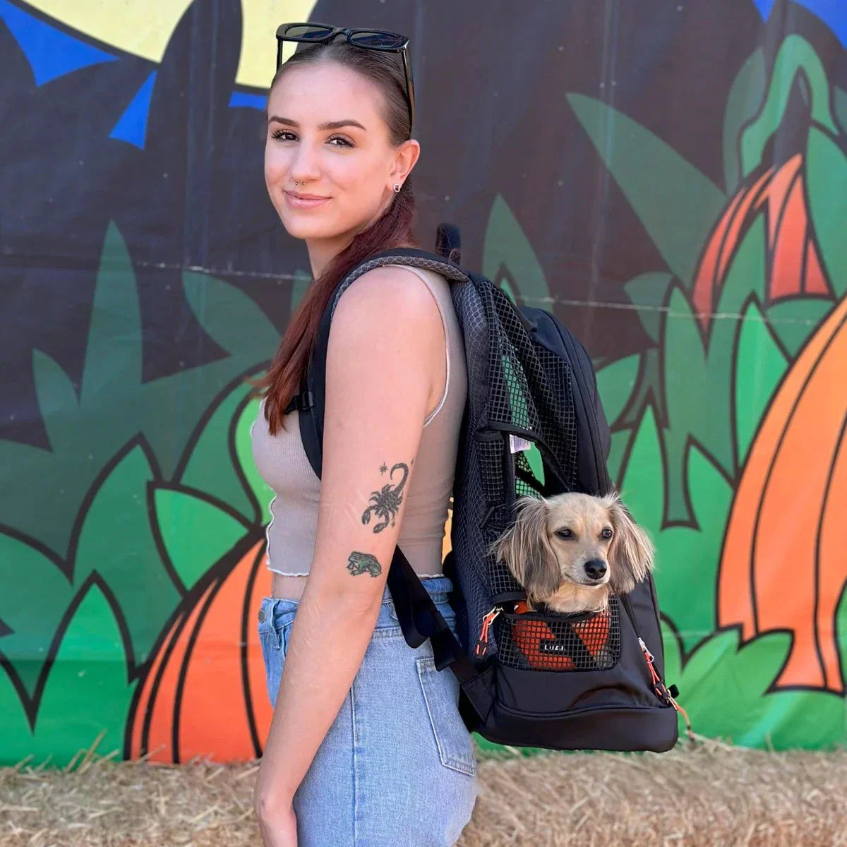 DJANGO - DjangoPack™ Dog Carrier Backpack - Image 10