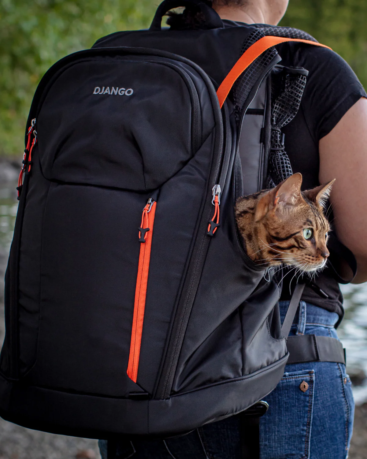 DJANGO - DjangoPack™ Dog Carrier Backpack - Image 12