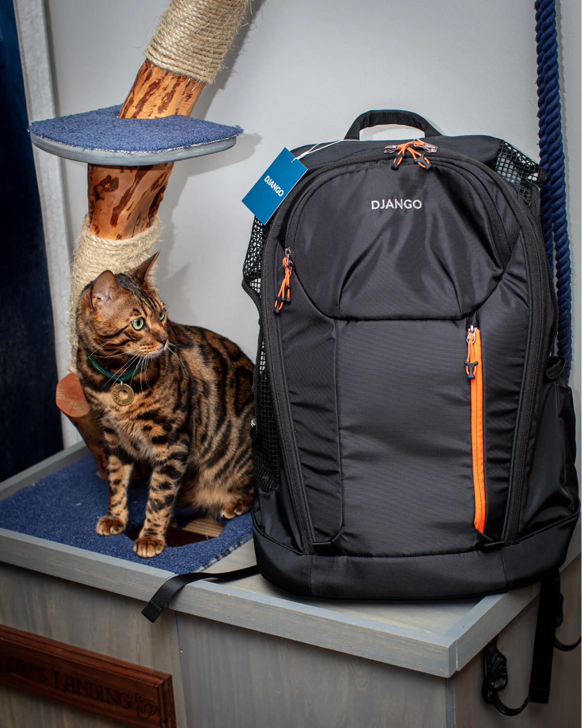 DJANGO - DjangoPack™ Dog Carrier Backpack - Image 14