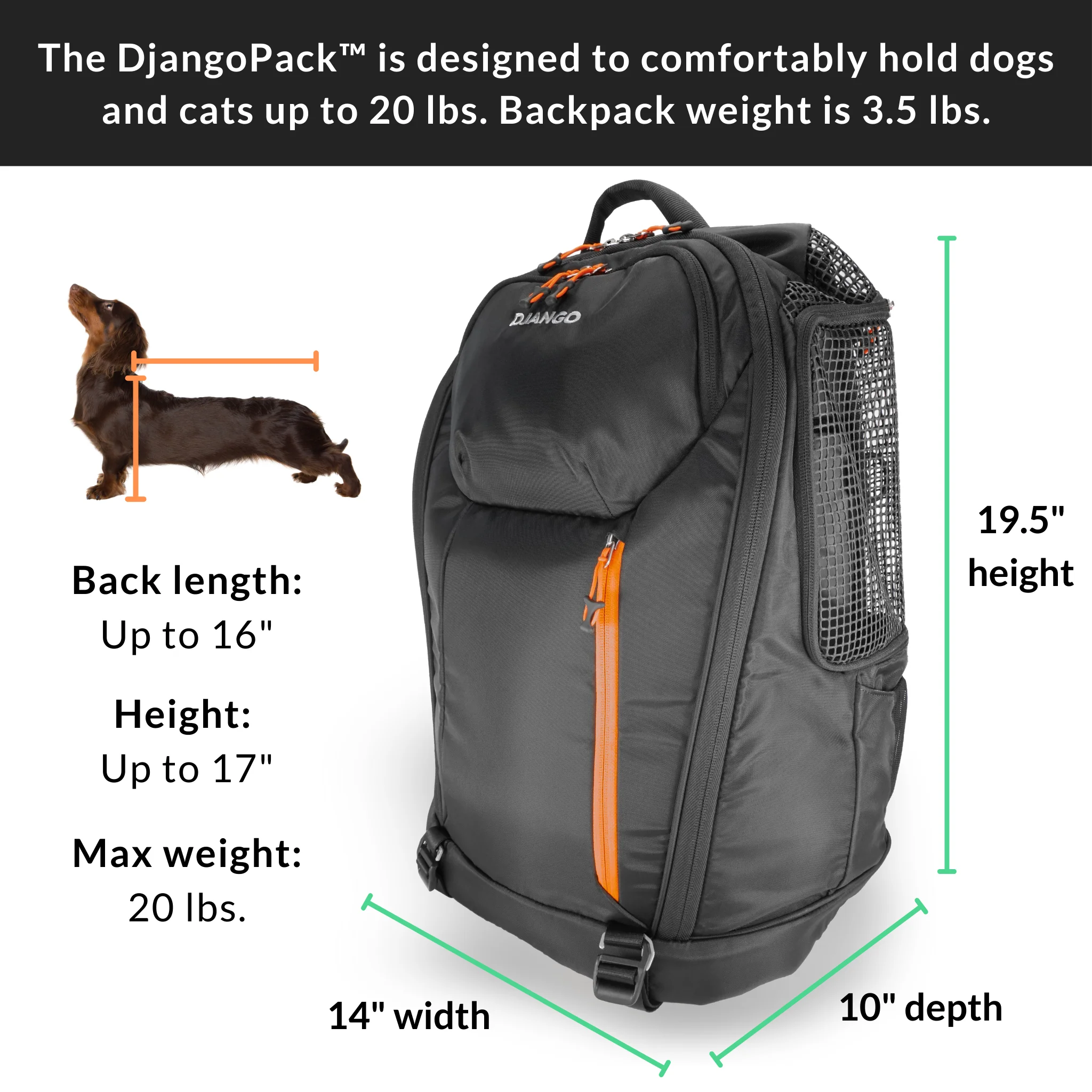 DJANGO - DjangoPack™ Dog Carrier Backpack - Image 4