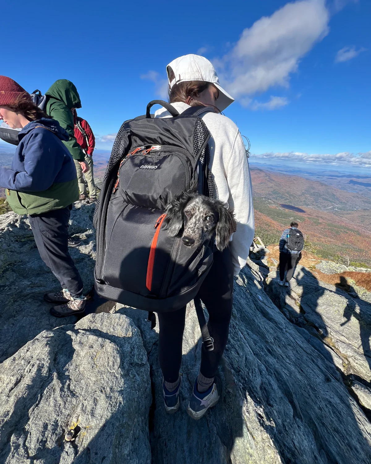 DJANGO - DjangoPack™ Dog Carrier Backpack - Image 8