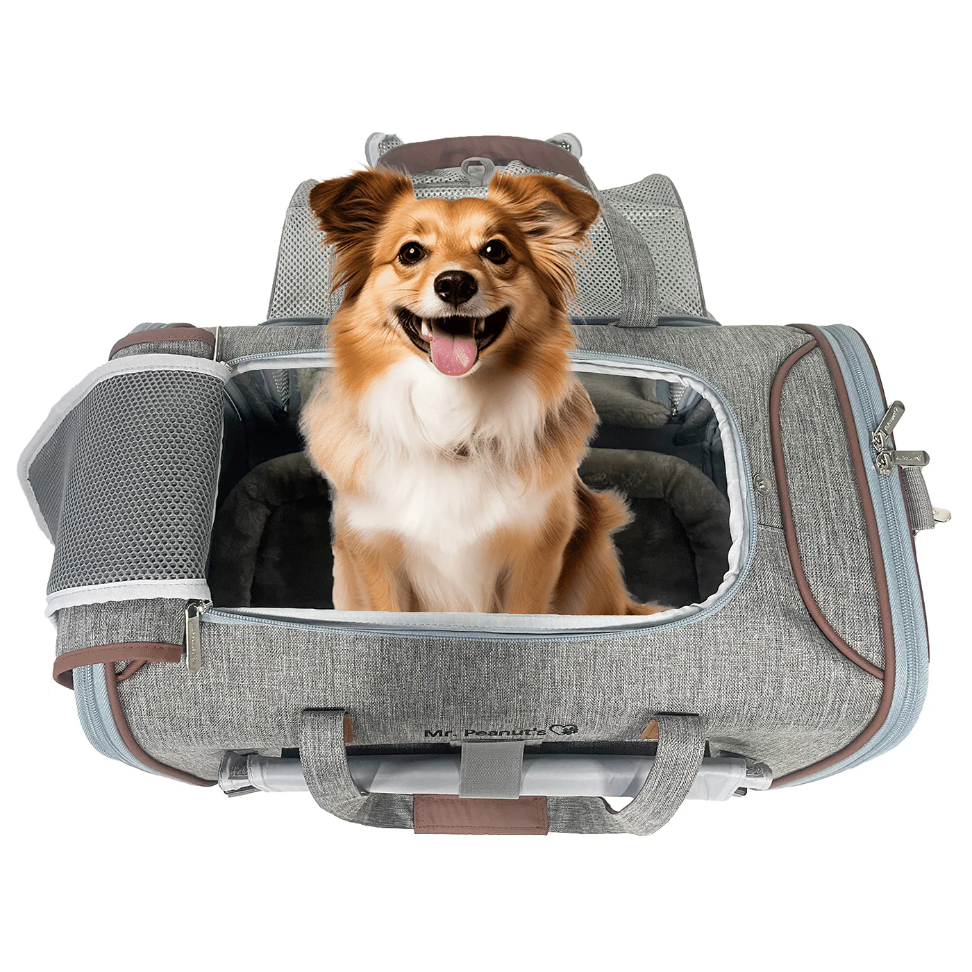 Mr. Peanut's Gold Series Big Apple XL Expandable Pet Carrier V3.0 - Image 17