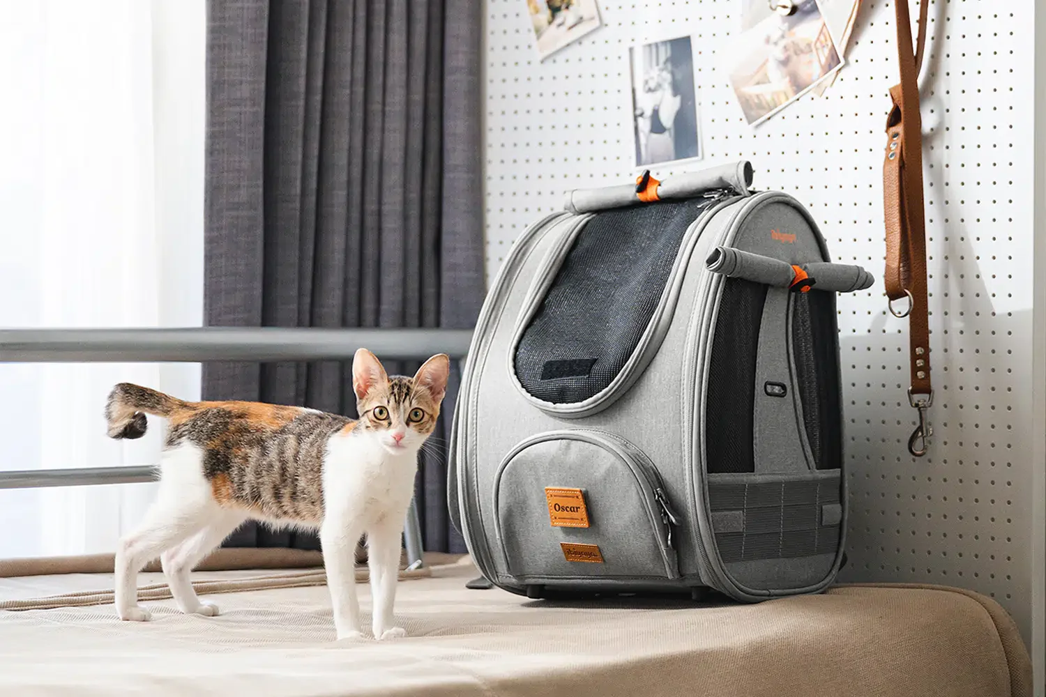 Ibiyaya Adventure Cat/Bunny/Puppy Carrier Backpack with Window, Large Airline Approved Cat Bag for Hiking & Travel. Best for both Kitten & Fat Cat - PreOrder Only - Image 10