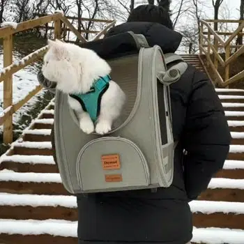 Ibiyaya Adventure Cat/Bunny/Puppy Carrier Backpack with Window, Large Airline Approved Cat Bag for Hiking & Travel. Best for both Kitten & Fat Cat - PreOrder Only - Image 12