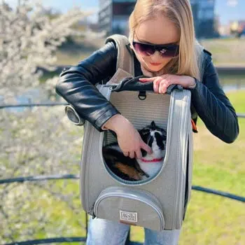 Ibiyaya Adventure Cat/Bunny/Puppy Carrier Backpack with Window, Large Airline Approved Cat Bag for Hiking & Travel. Best for both Kitten & Fat Cat - PreOrder Only - Image 13