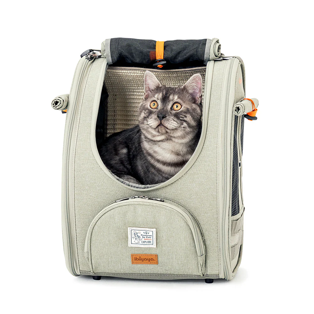 Ibiyaya Adventure Cat/Bunny/Puppy Carrier Backpack with Window, Large Airline Approved Cat Bag for Hiking & Travel. Best for both Kitten & Fat Cat - PreOrder Only - Image 15