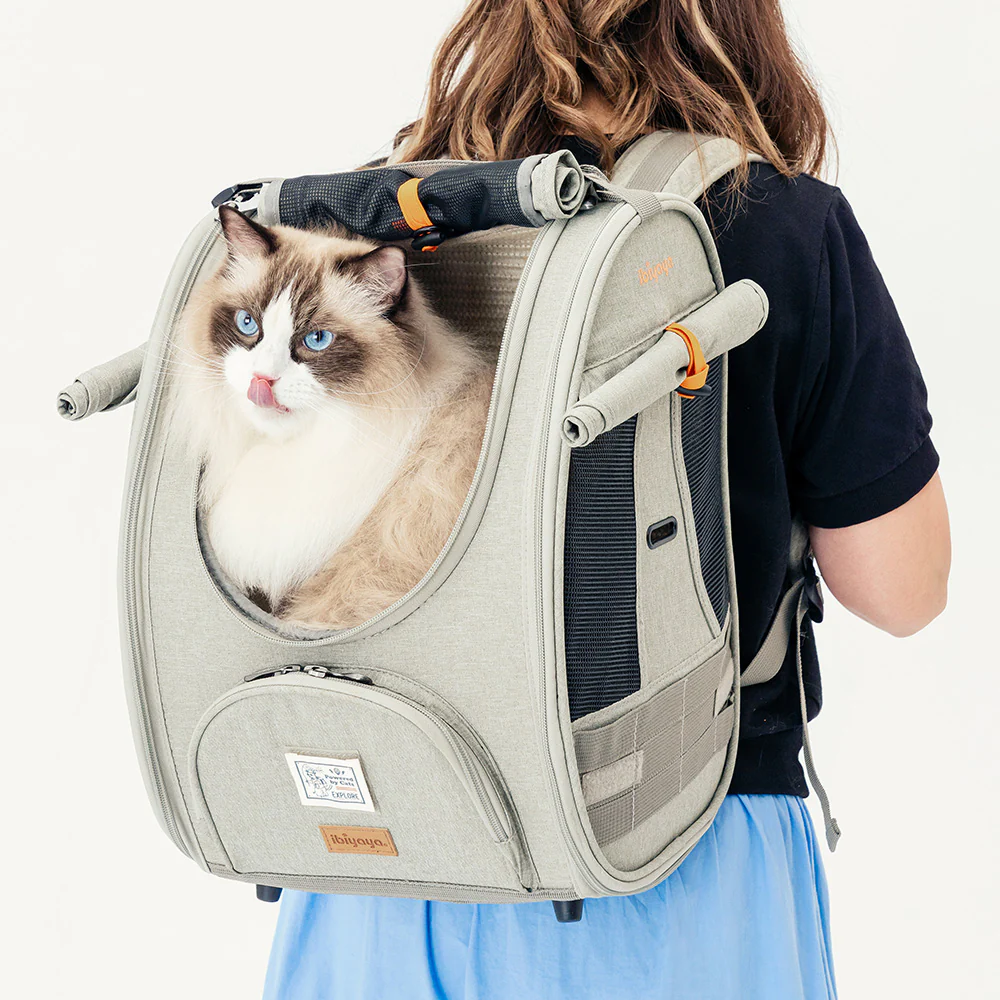 Ibiyaya Adventure Cat/Bunny/Puppy Carrier Backpack with Window, Large Airline Approved Cat Bag for Hiking & Travel. Best for both Kitten & Fat Cat - PreOrder Only - Image 24