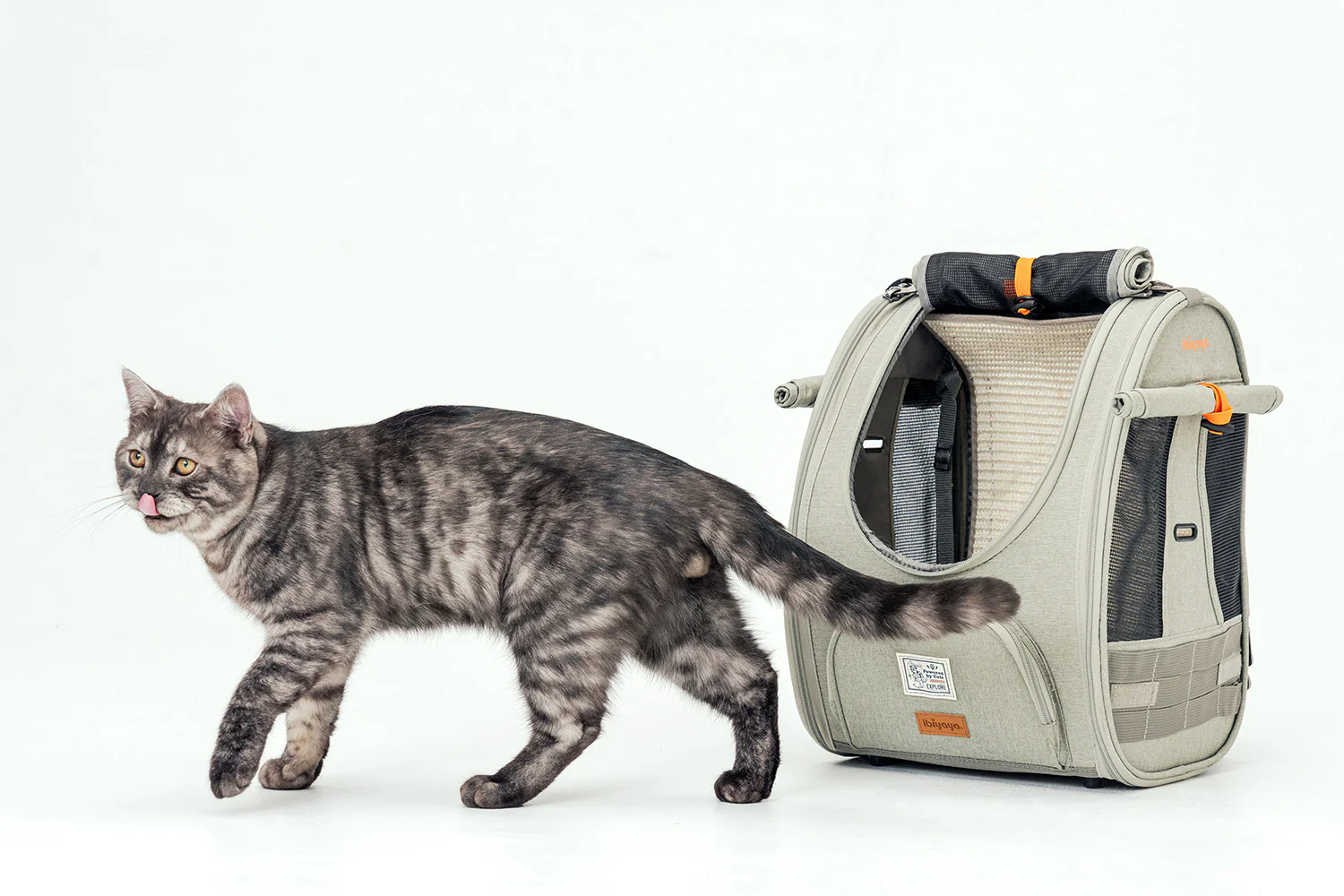 Ibiyaya Adventure Cat/Bunny/Puppy Carrier Backpack with Window, Large Airline Approved Cat Bag for Hiking & Travel. Best for both Kitten & Fat Cat - PreOrder Only - Image 25