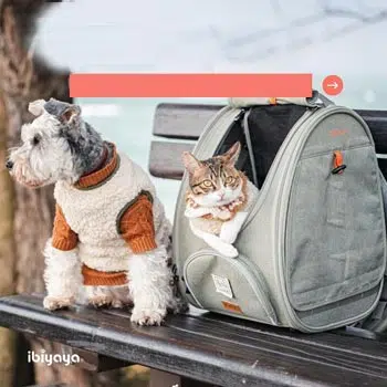 Ibiyaya Adventure Cat/Bunny/Puppy Carrier Backpack with Window, Large Airline Approved Cat Bag for Hiking & Travel. Best for both Kitten & Fat Cat - PreOrder Only - Image 5