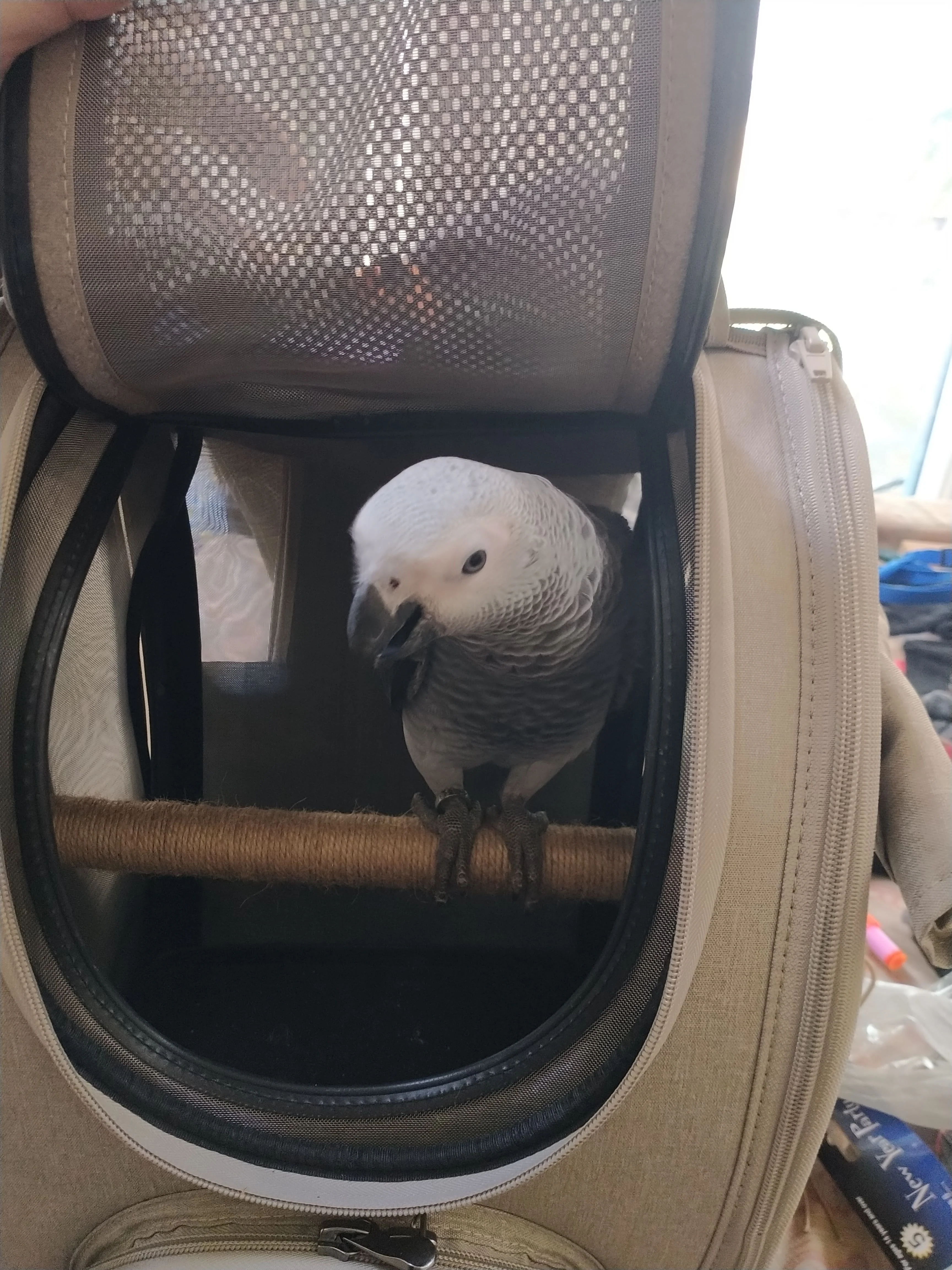 Ibiyaya BirdTricks TrackPack for Birds, Patented Bird Carrier Backpack with Perch, Airline Approved  - PreOrders Only - Image 11