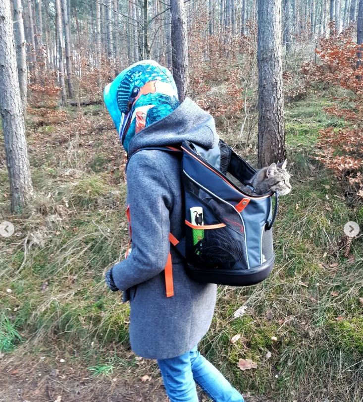 Ibiyaya Ultralight Pro Pet Backpack Carrier, Airline-Approved Backpack for Biking and Hiking, Front-Facing Cat-Dog Travel Bag Combo - Image 32