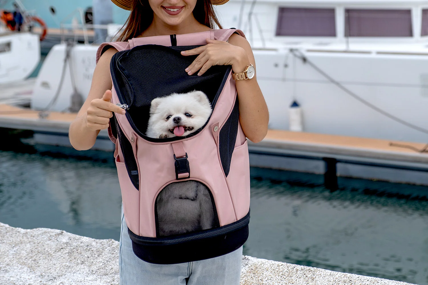 Ibiyaya Ultralight Pro Pet Backpack Carrier, Airline-Approved Backpack for Biking and Hiking, Front-Facing Cat-Dog Travel Bag Combo - Image 9