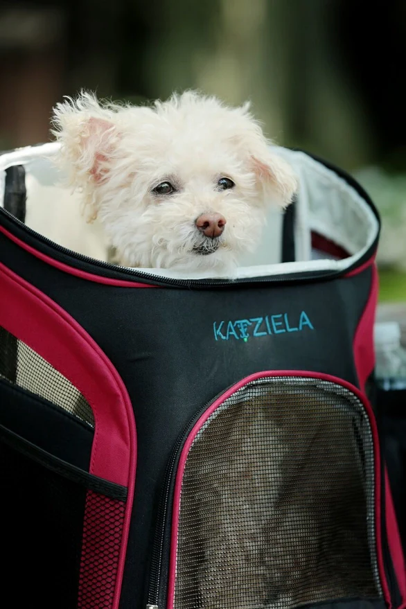 Katziela Voyager Airline Compliant Backpack For Dogs and Cats - Image 4