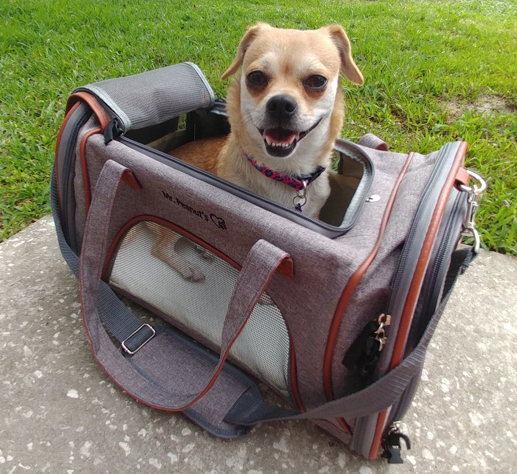 Mr. Peanut's Gold Series Standard Size Airline Compliant Pet Carrier - Image 19