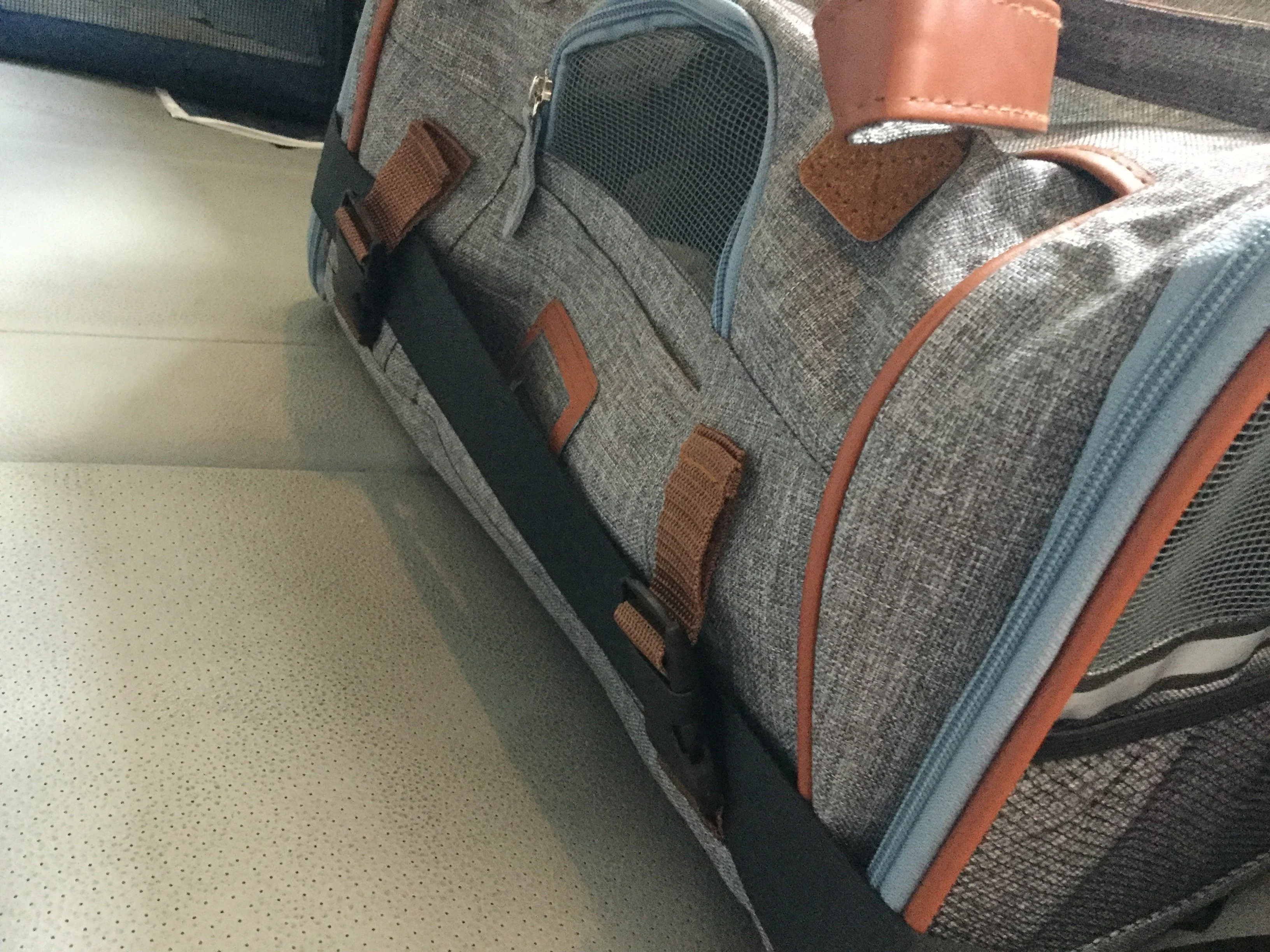 Mr. Peanut's Gold Series Standard Size Airline Compliant Pet Carrier - Image 25