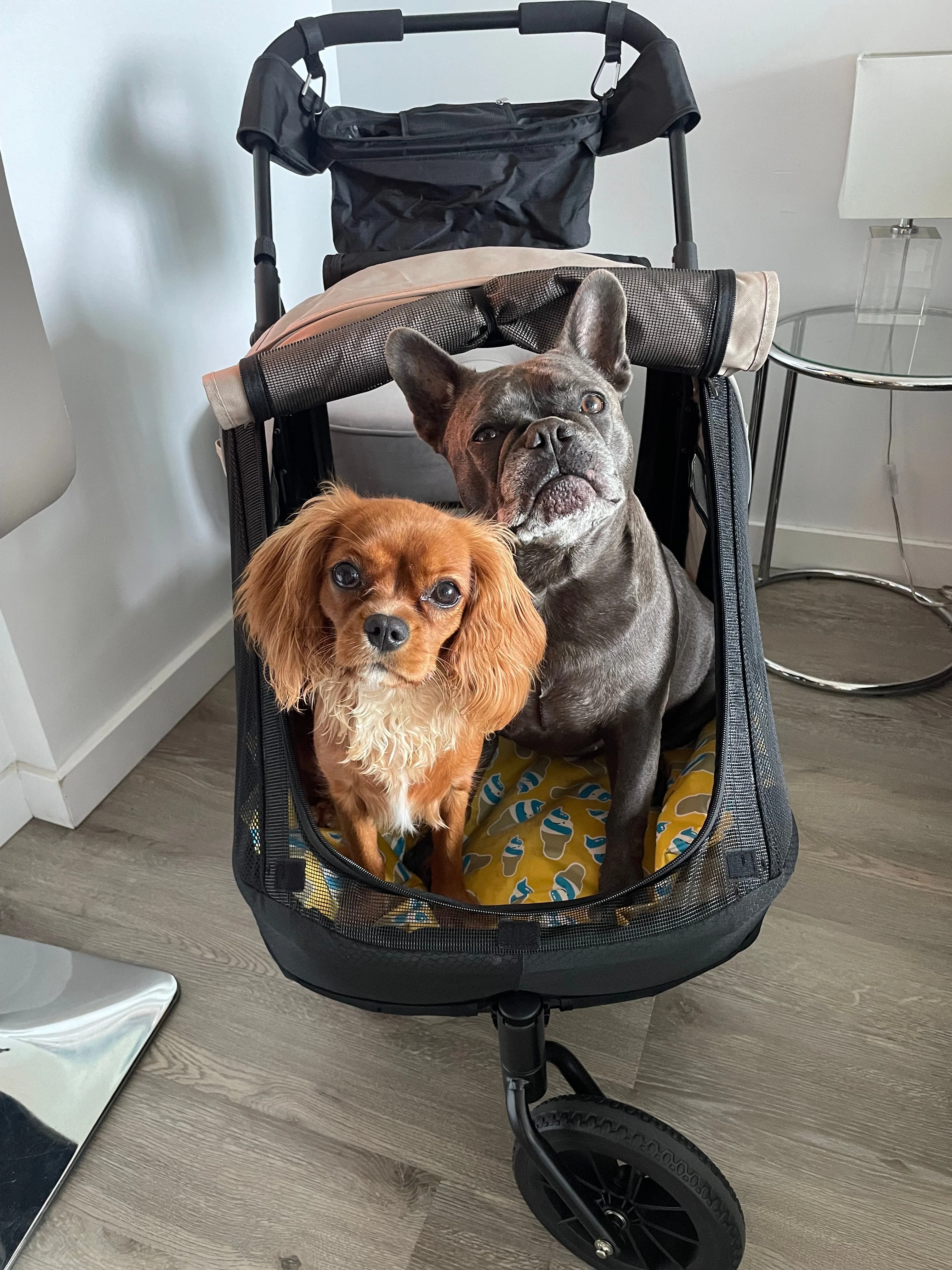 Ibiyaya Minika 3-in-1 Pet Stroller System with Foldable Dog Bicycle Trailer & Indoor-Outdoor Kennel - Image 9