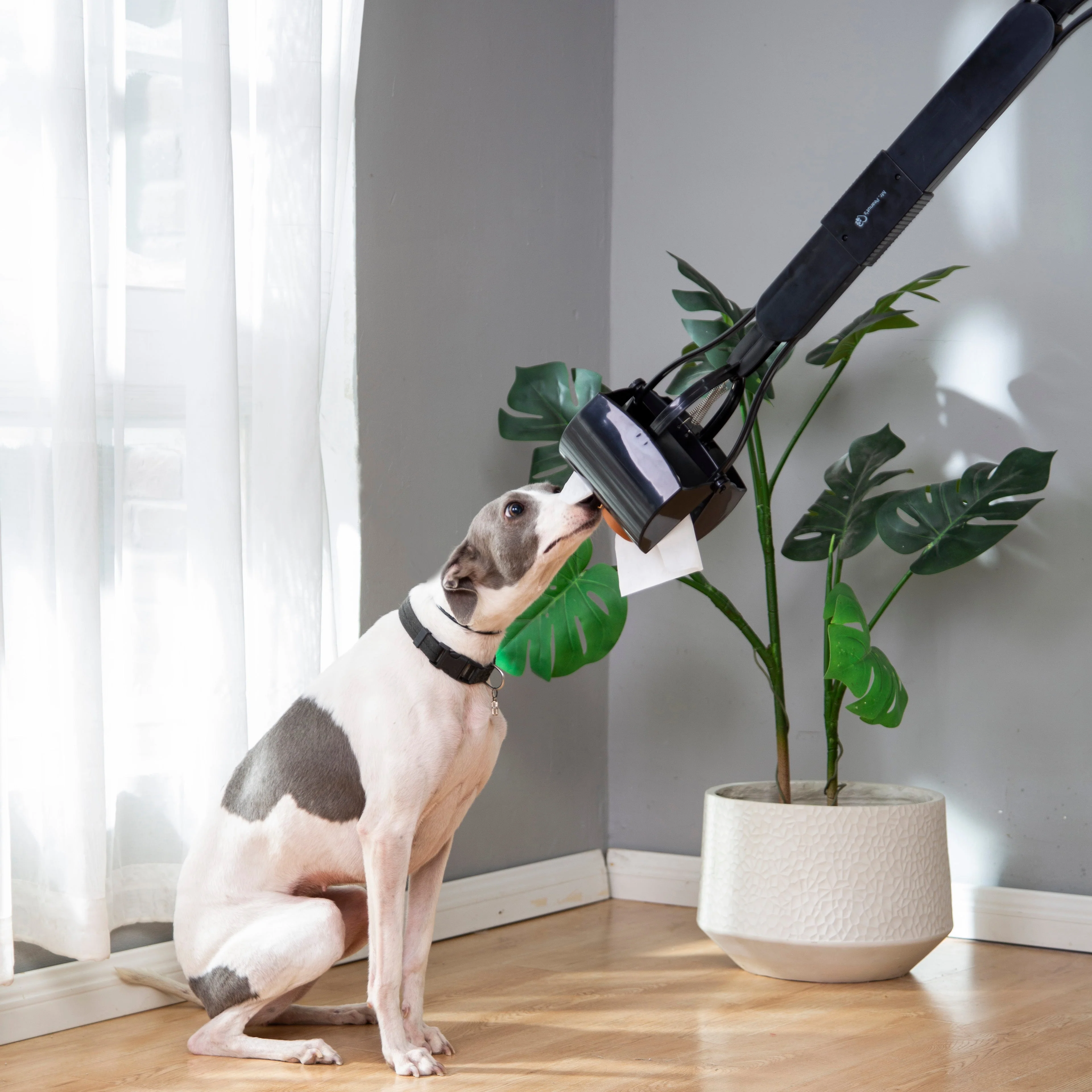 Mr. Peanut's 32" Tall Profile Pooper Scooper - Image 25