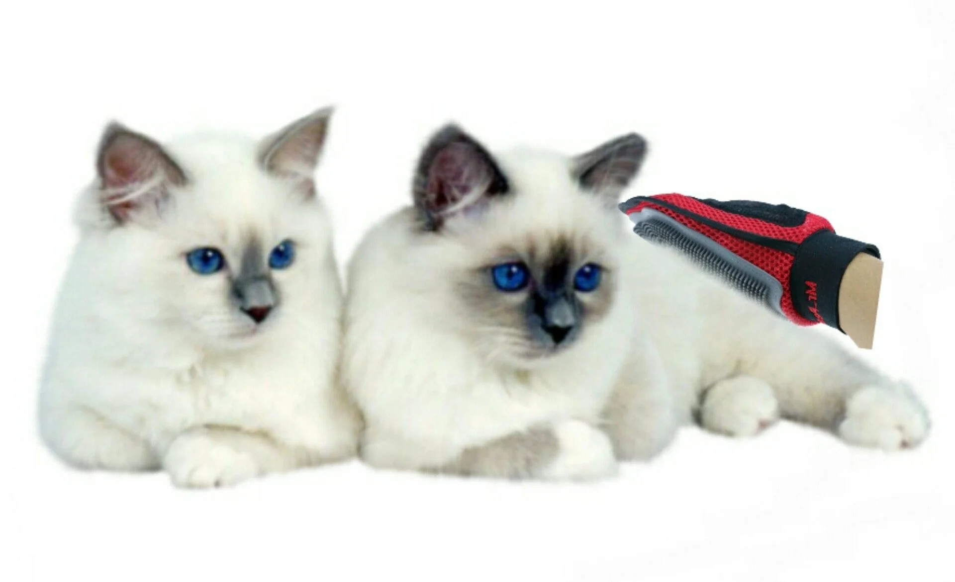 Mr. Peanut's Original Pet Grooming Glove - Image 4