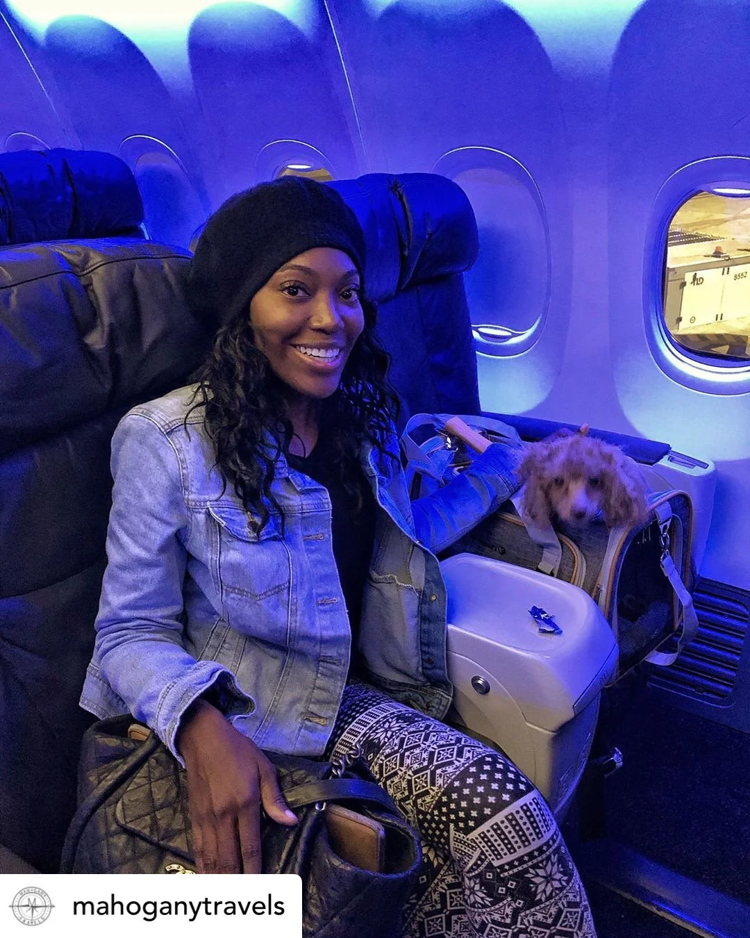 Mr. Peanut's Platinum Series Expandable Pet Carrier - Image 13