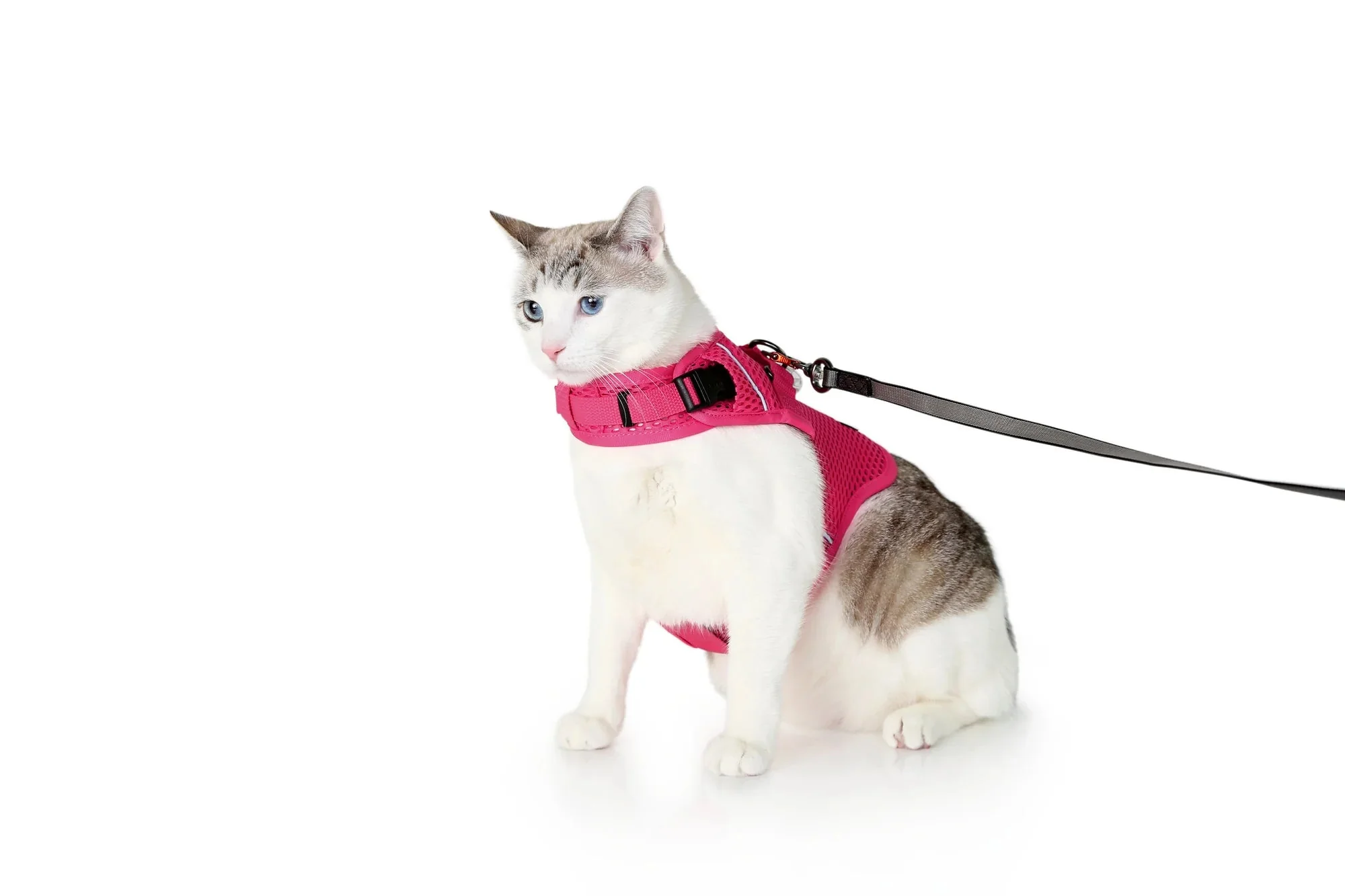 Sleepypod Martingale Calming Harness for Cats - Image 11