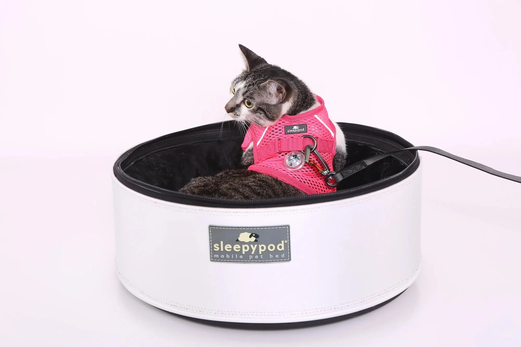 Sleepypod Martingale Calming Harness for Cats - Image 12