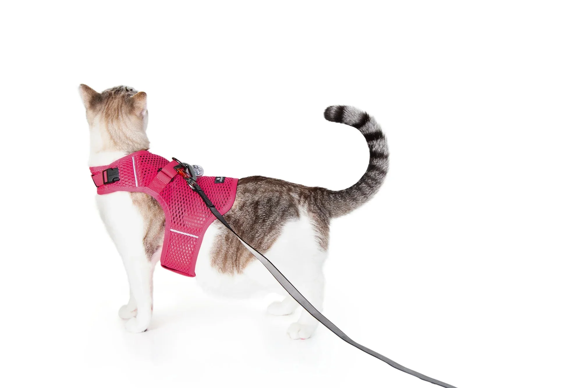 Sleepypod Martingale Calming Harness for Cats - Image 13