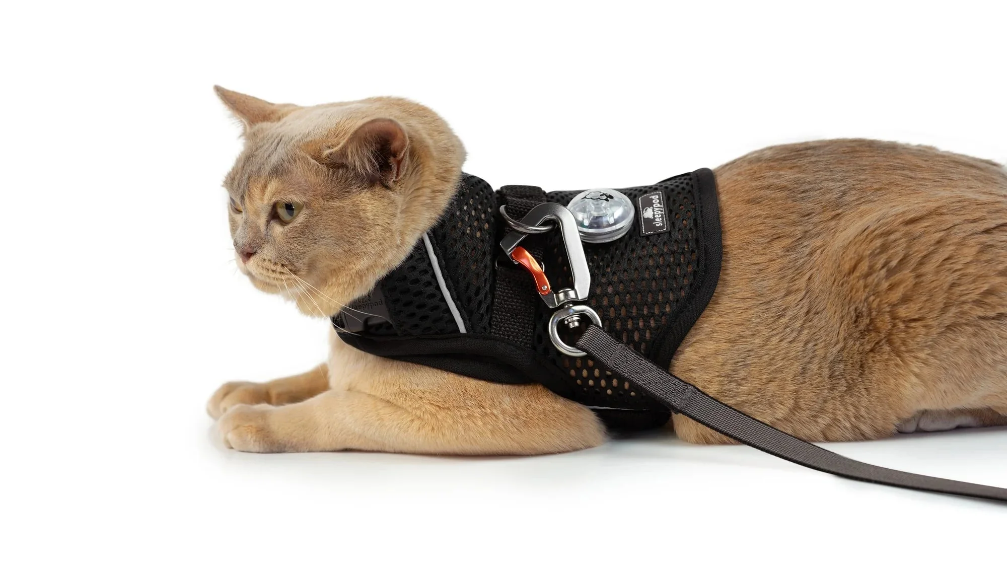 Sleepypod Martingale Calming Harness for Cats - Image 17