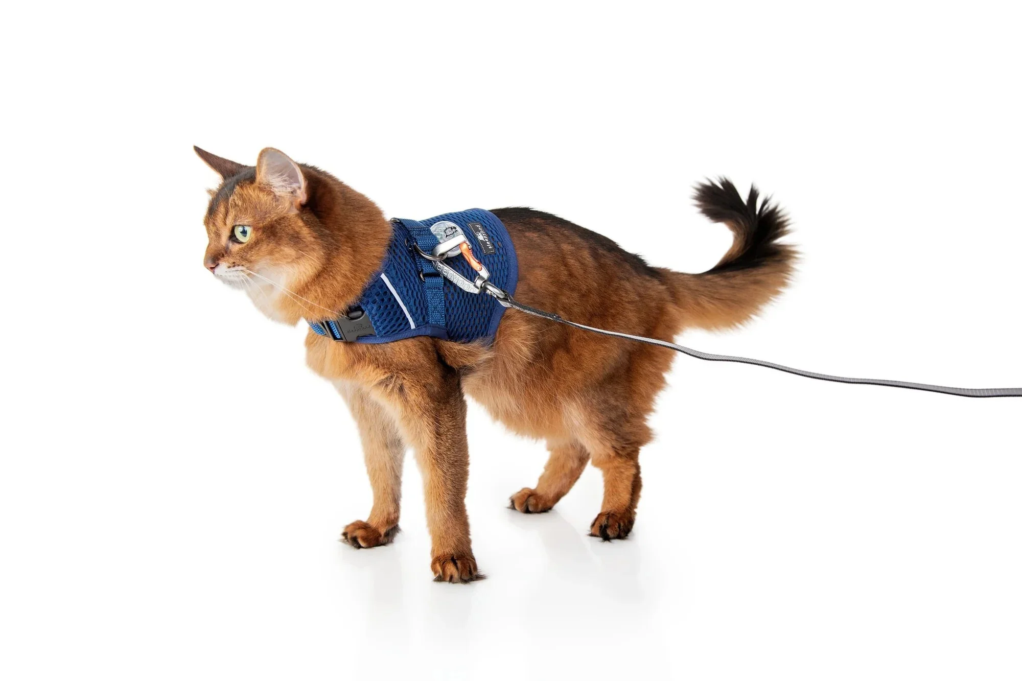 Sleepypod Martingale Calming Harness for Cats - Image 18