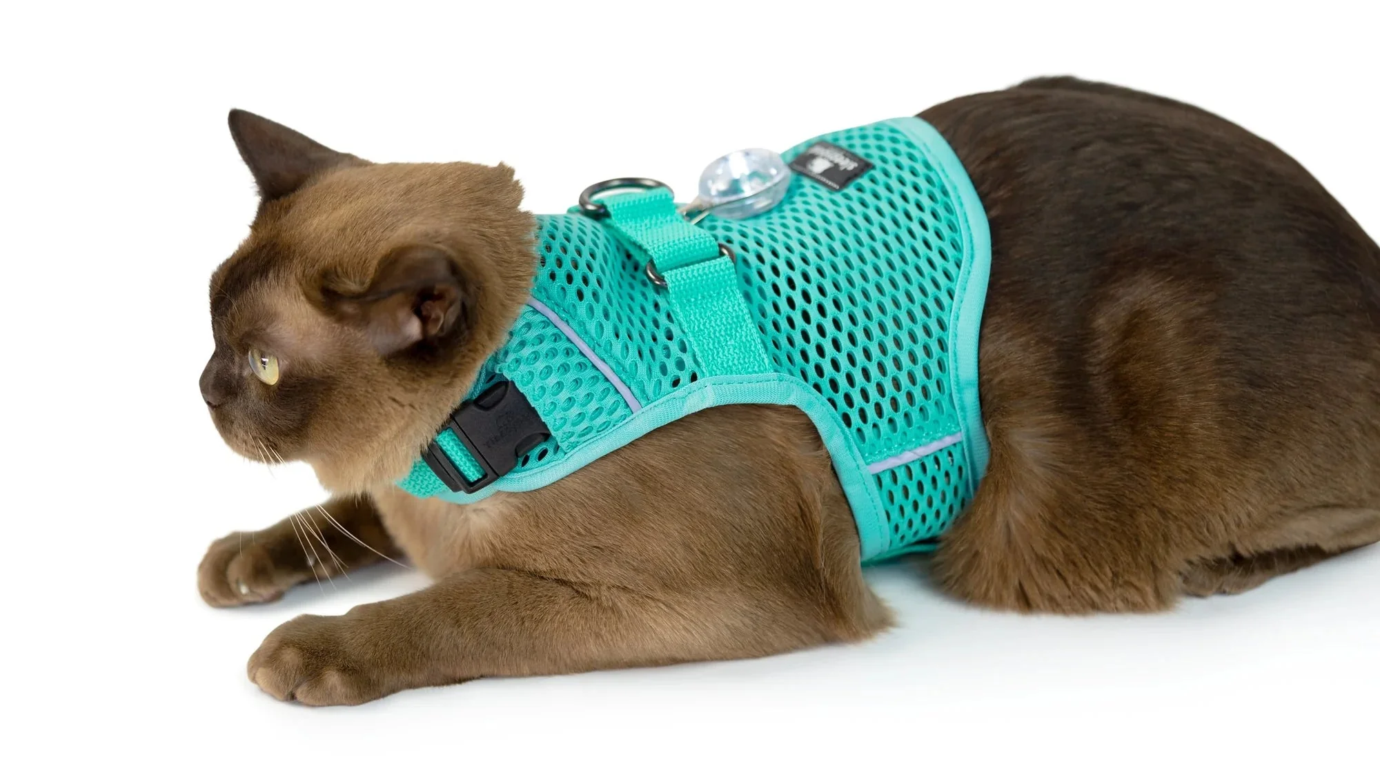 Sleepypod Martingale Calming Harness for Cats - Image 20