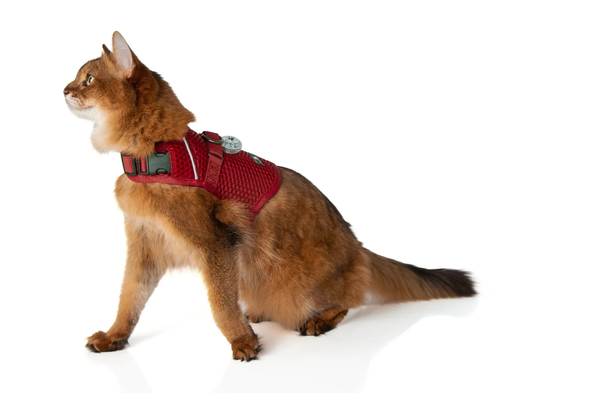 Sleepypod Martingale Calming Harness for Cats - Image 21