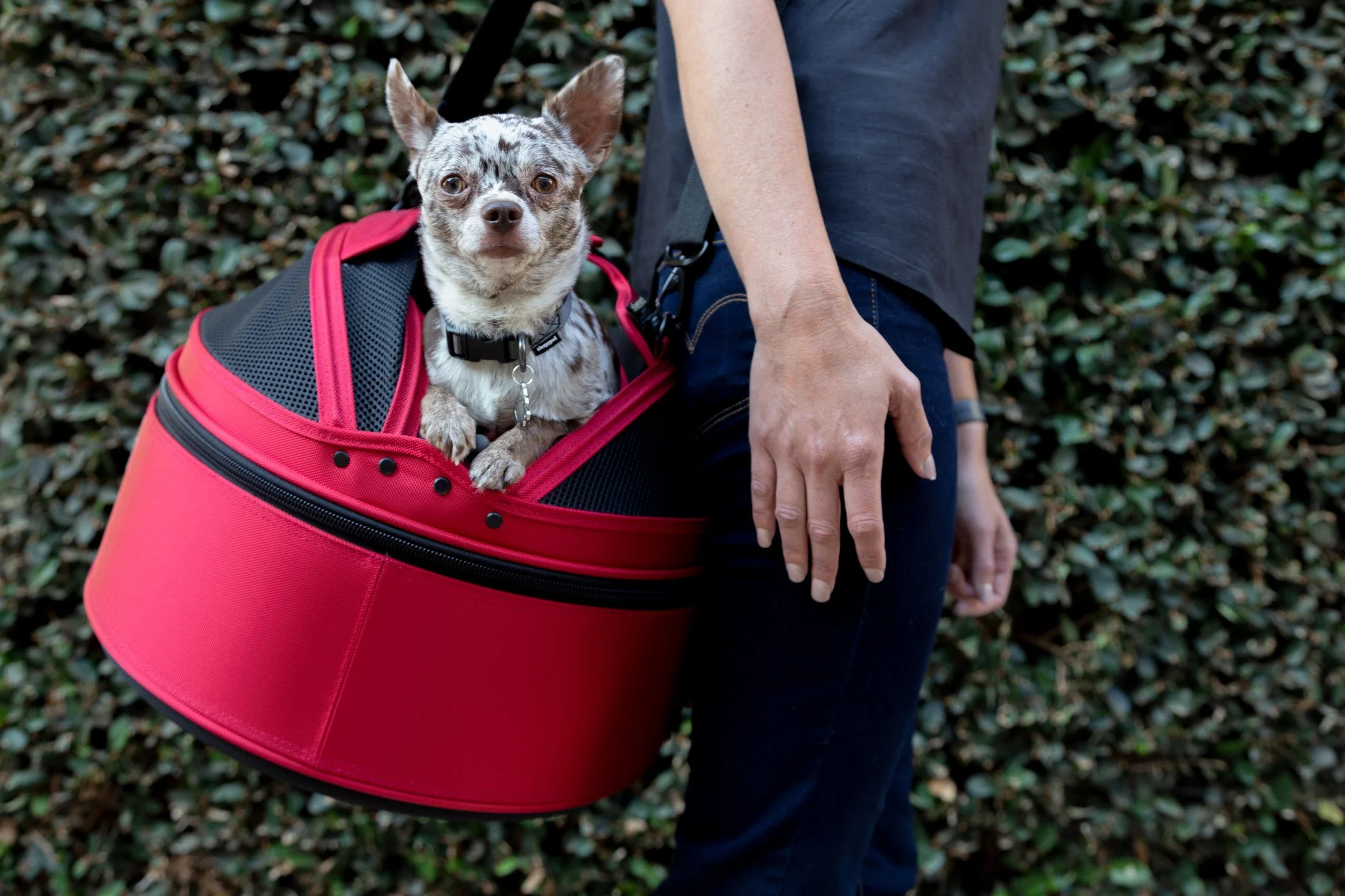 Sleepypod Airline Compliant Mobile Pet Bed - Mini Size, Impact Tested Small Pet Car Seat - Image 4