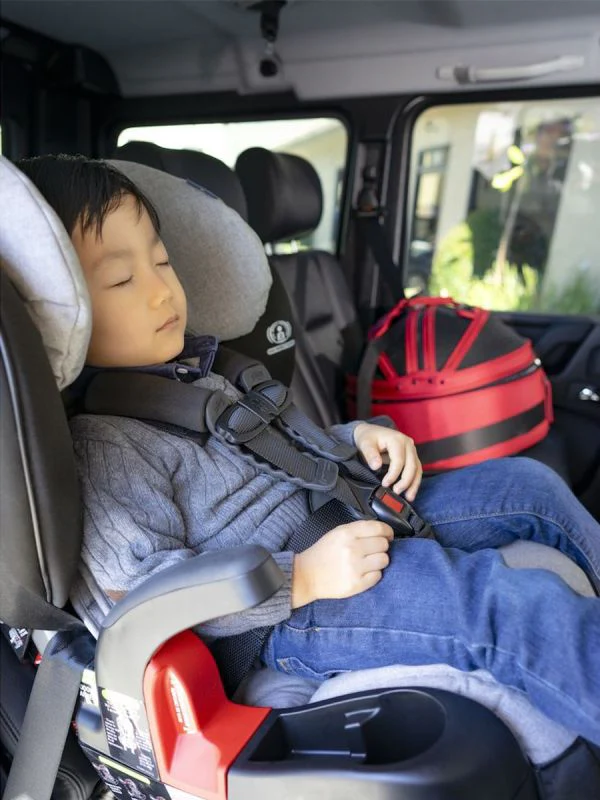 Sleepypod Airline Compliant Mobile Pet Bed - Mini Size, Impact Tested Small Pet Car Seat - Image 8