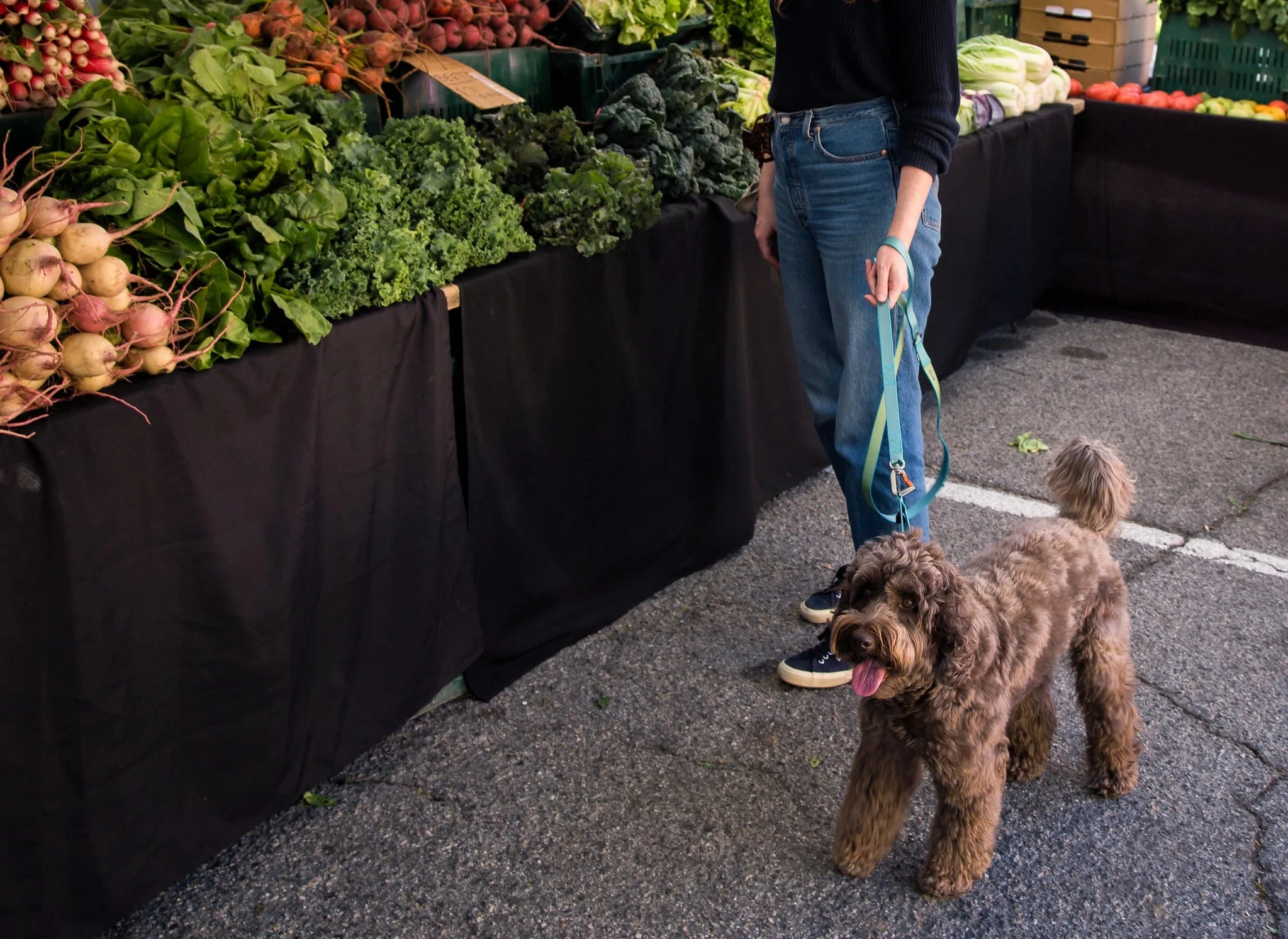 Sleepypod Power Leash - Image 14