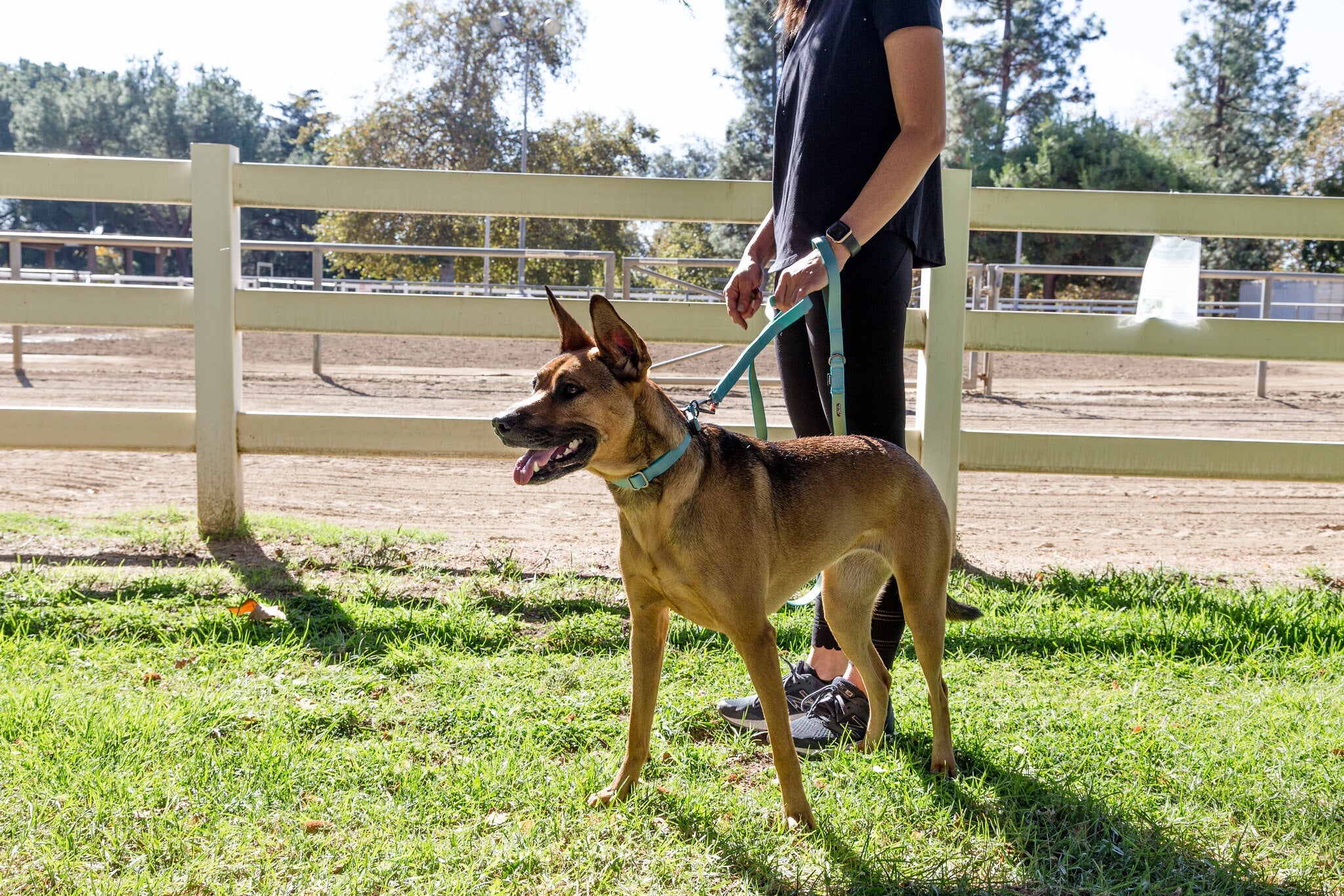 Sleepypod Power Leash - Image 4