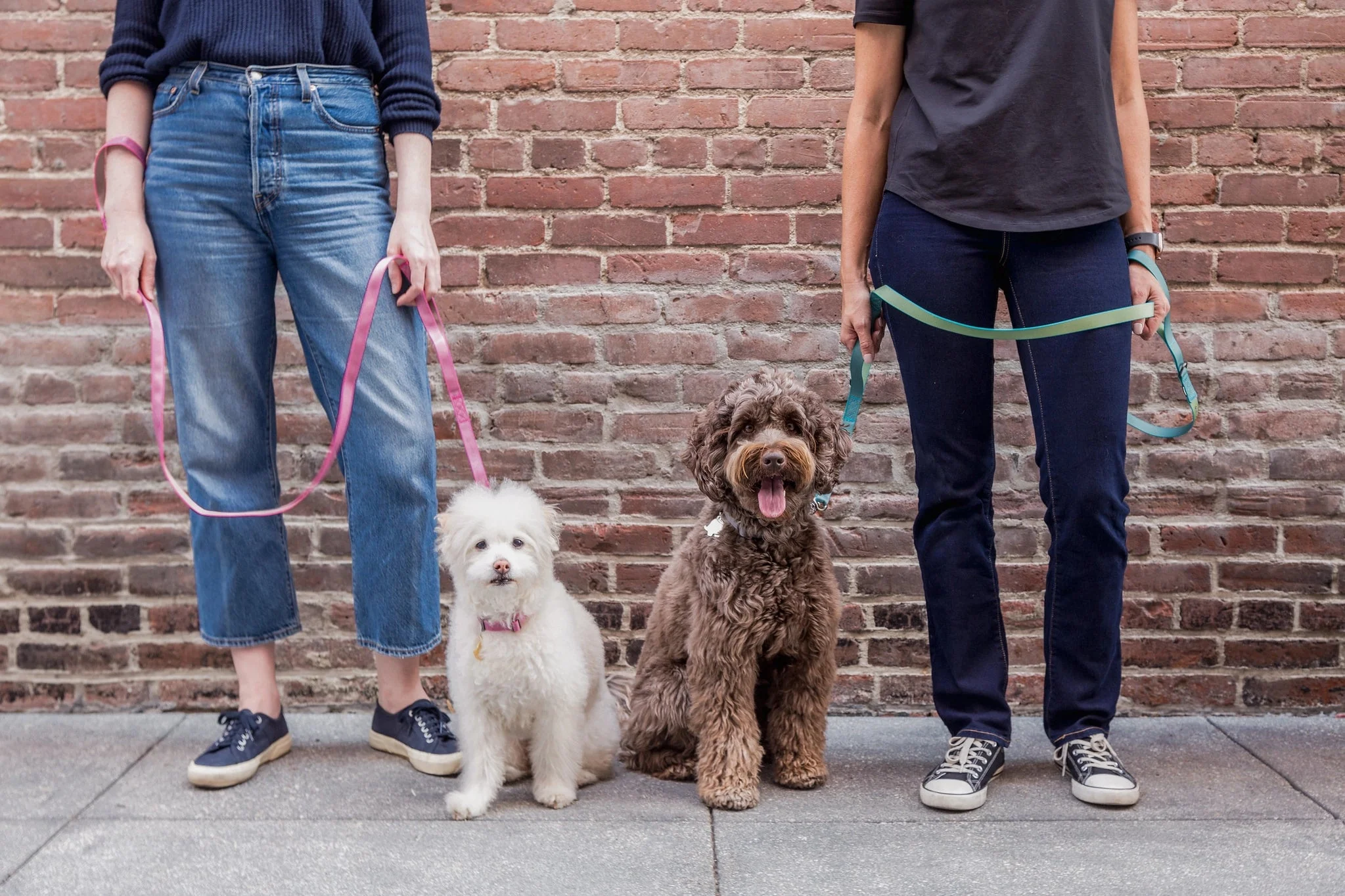 Sleepypod Power Leash - Image 5