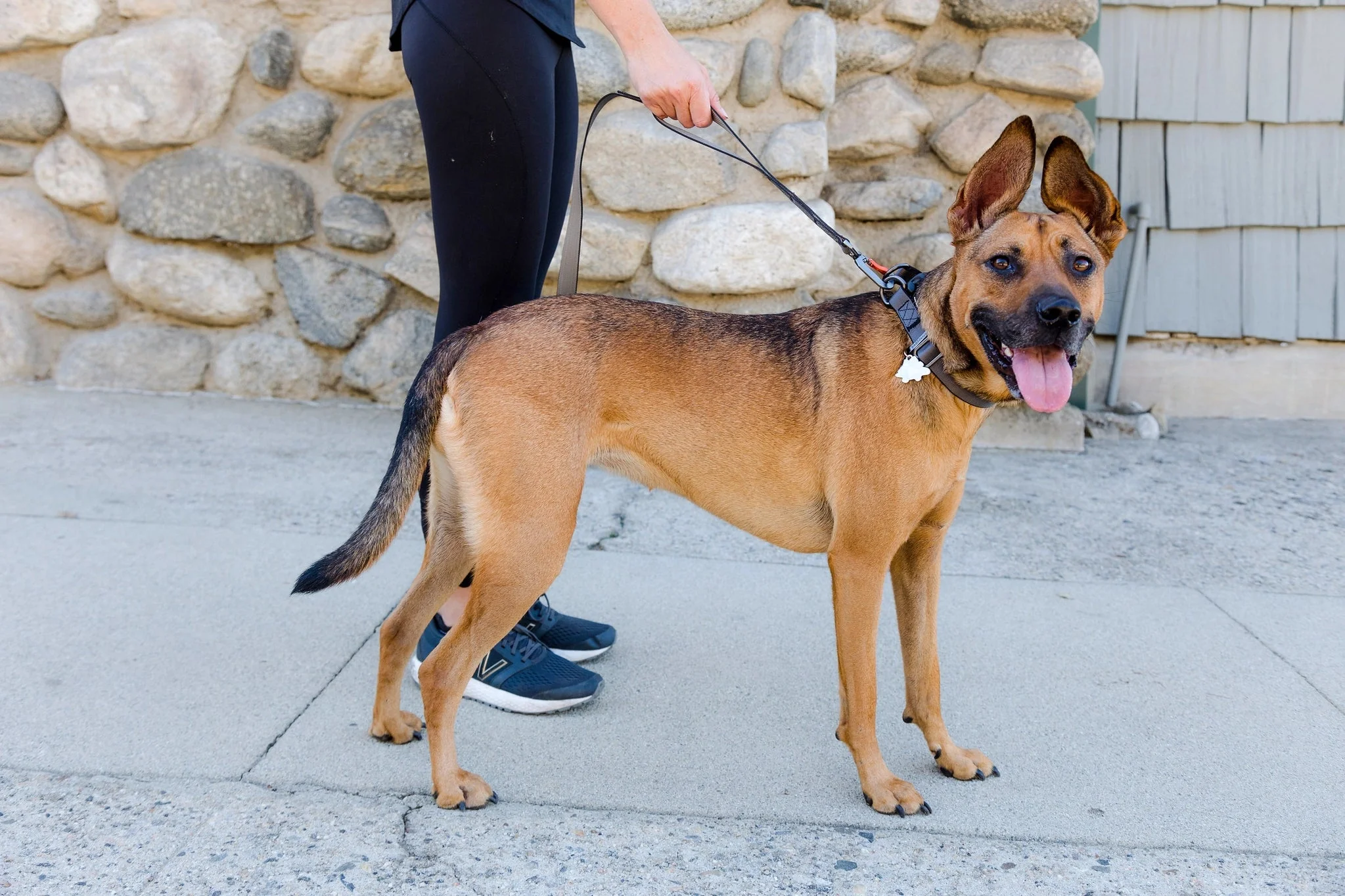 Sleepypod Power Leash - Image 6