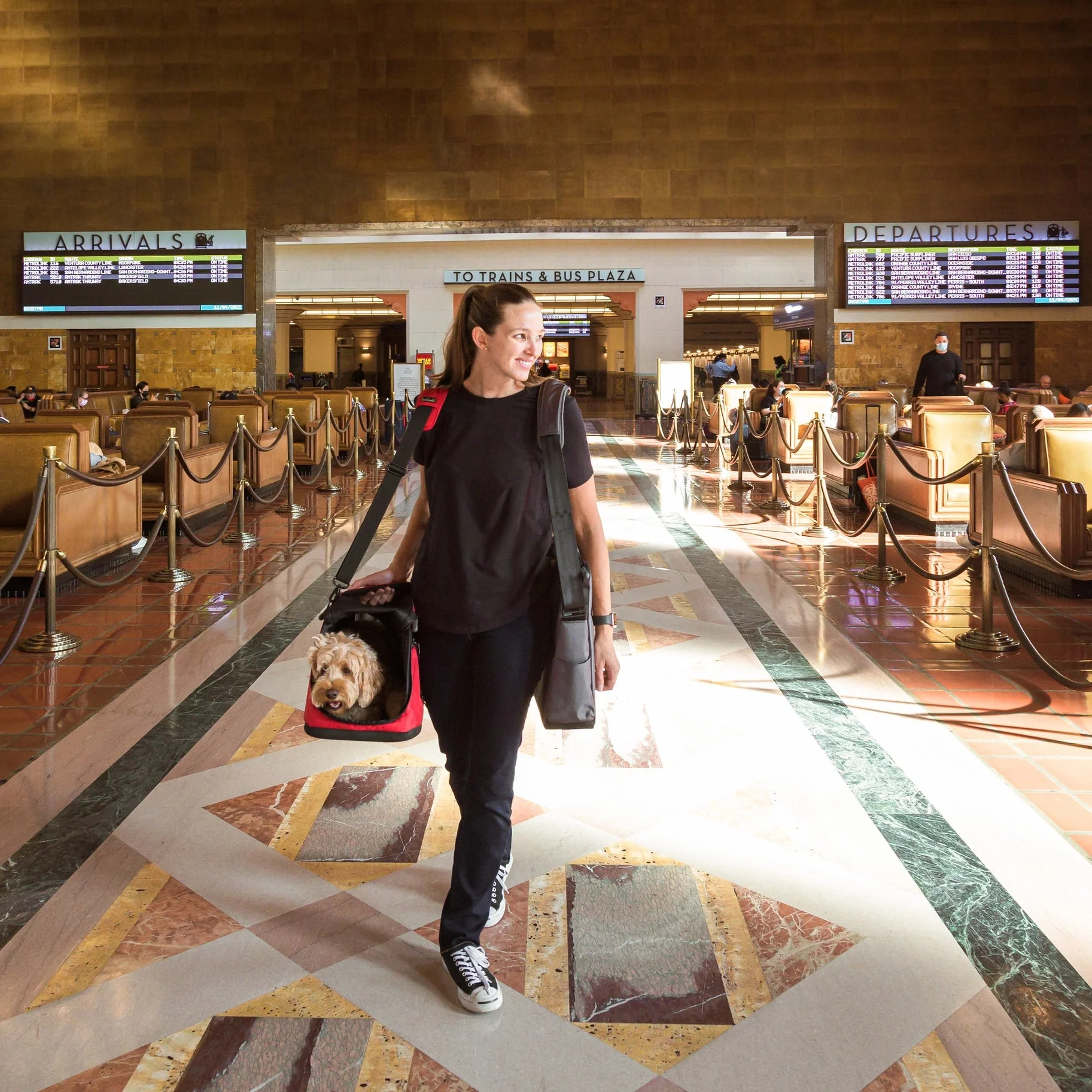 Sleepypod Air 2.0 Pet Carrier, Premium Airline Compliant Large Size Carrier - Newly Updated Model - Image 11