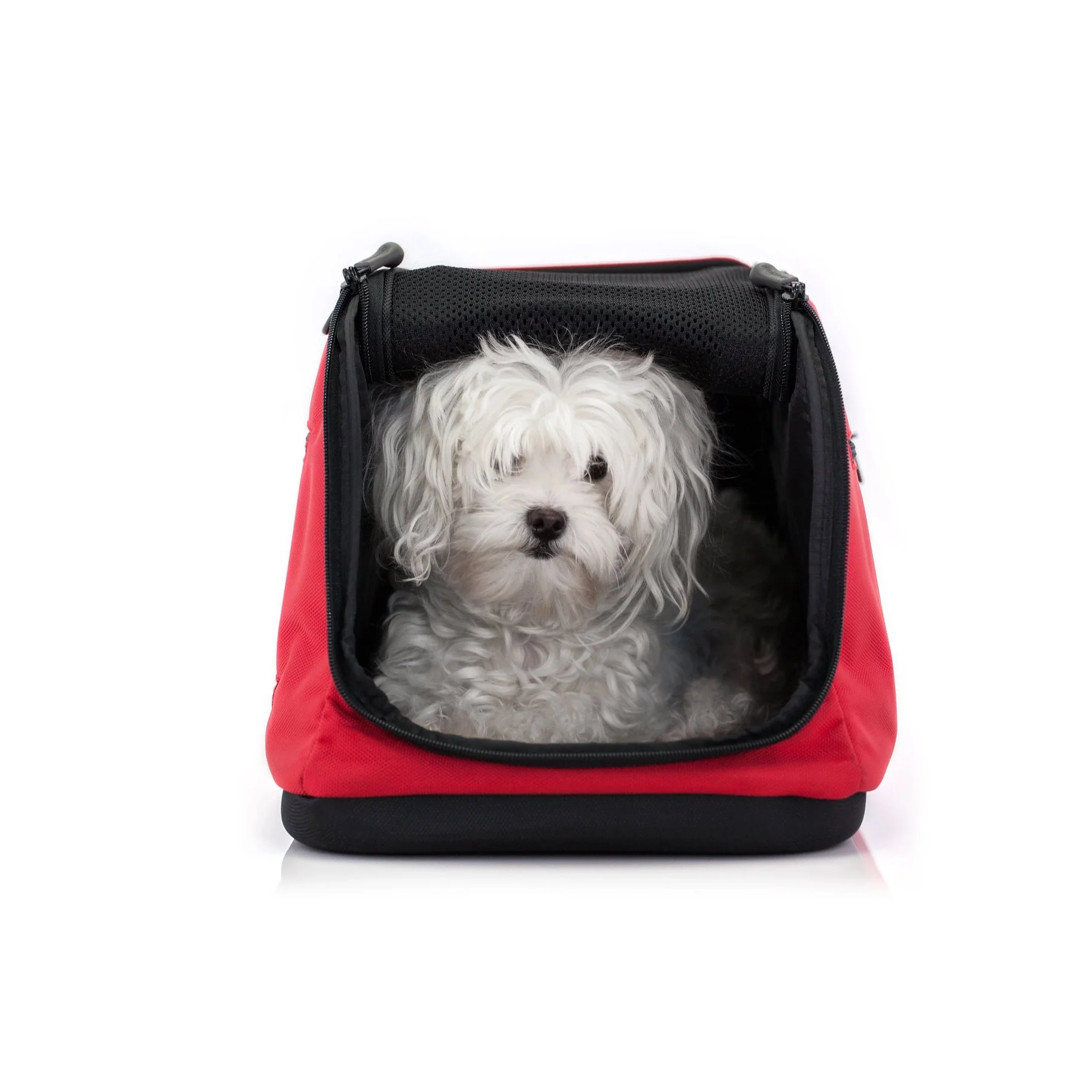 Sleepypod Air 2.0 Pet Carrier, Premium Airline Compliant Large Size Carrier - Newly Updated Model - Image 19