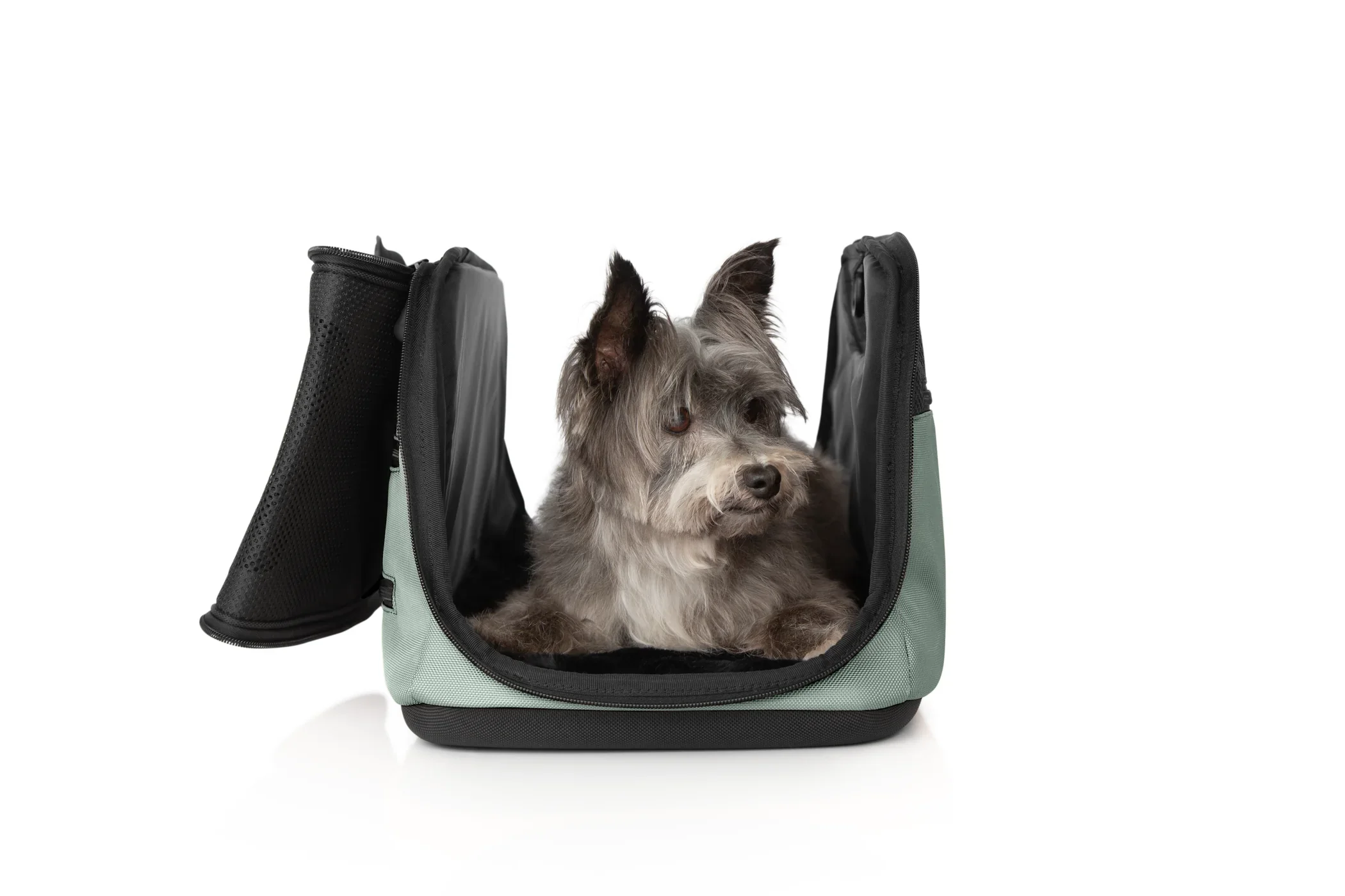 Sleepypod Air 2.0 Pet Carrier, Premium Airline Compliant Large Size Carrier - Newly Updated Model - Image 31